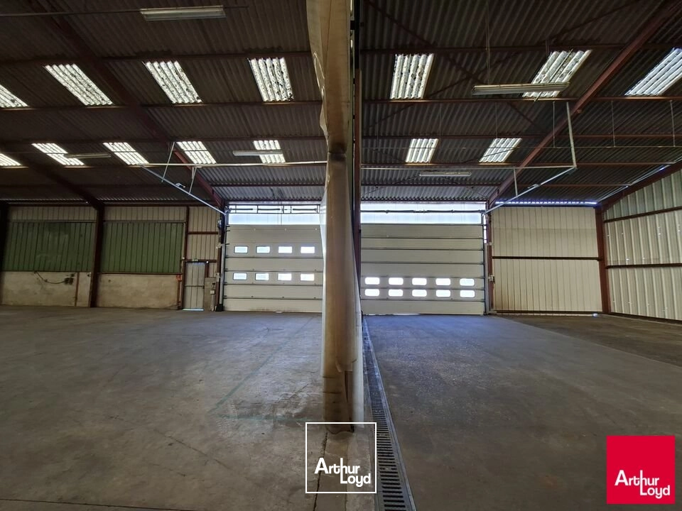 Locaux d'activité & Entrepôts - Location - CHAMPAGNE - 72470 - 950-950 - 7669869