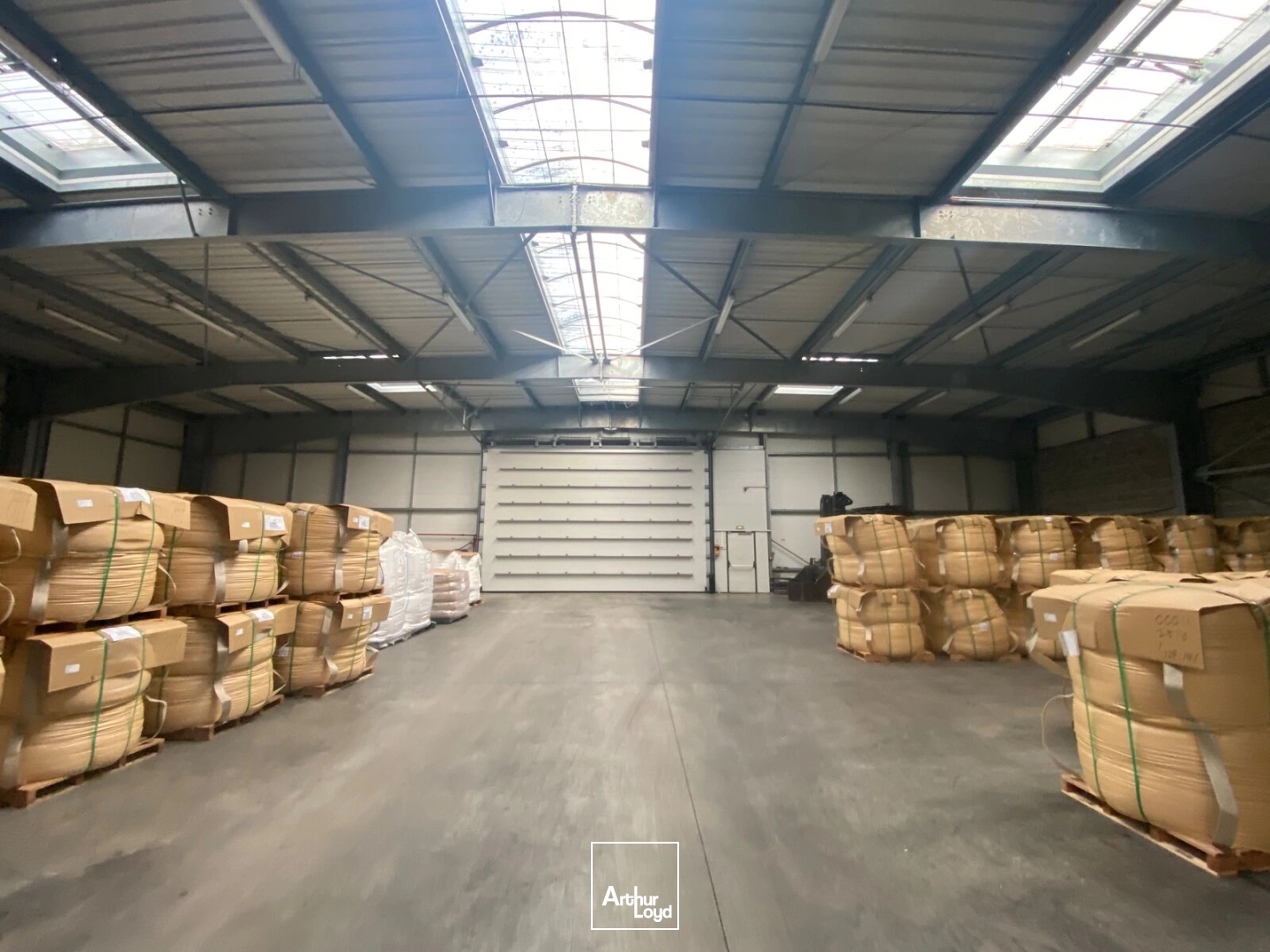 Locaux d'activité & Entrepôts - Vente - REDENE - 29300 - 3647-3647 - 7670780