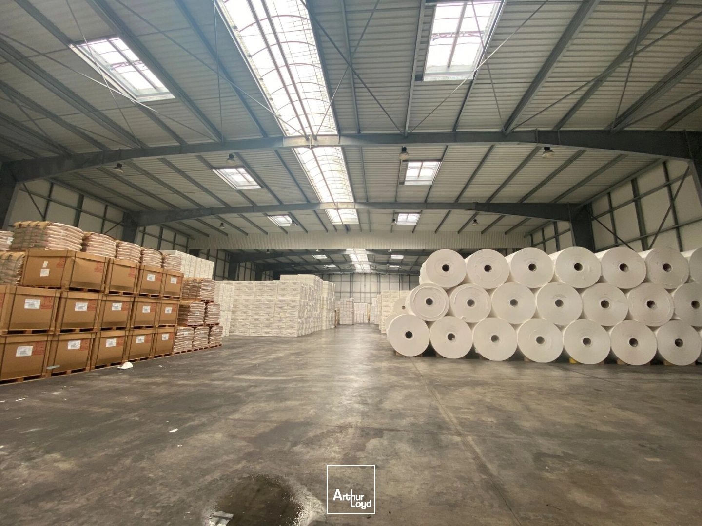 Locaux d'activité & Entrepôts - Vente - REDENE - 29300 - 3647-3647 - 7670782