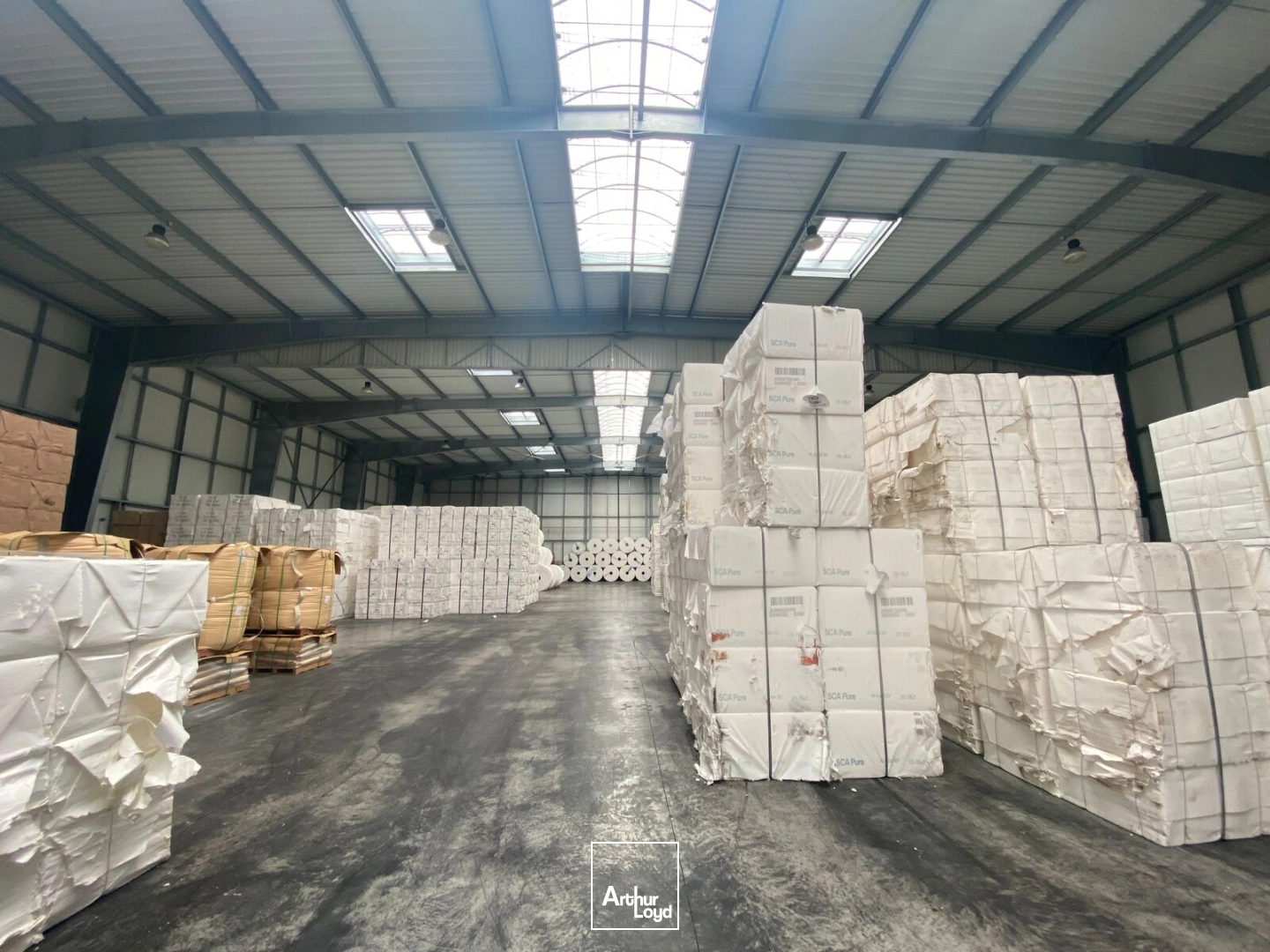 Locaux d'activité & Entrepôts - Vente - REDENE - 29300 - 3647-3647 - 7670783