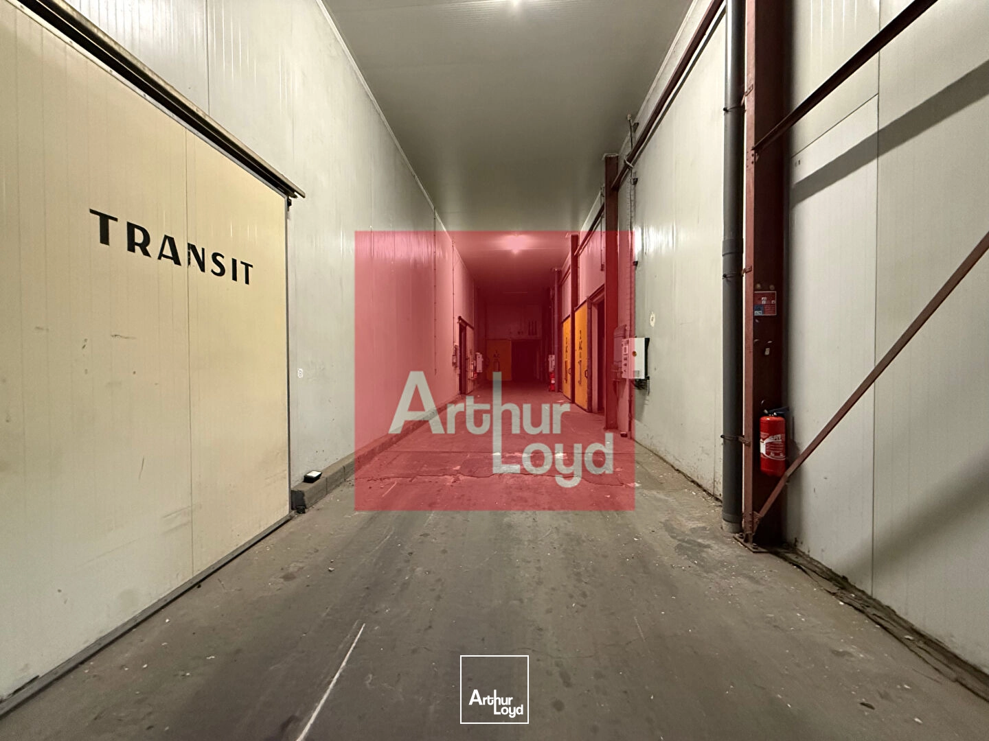 Locaux d'activité & Entrepôts - Location - LAFRANCAISE - 82130 - 2890-2890 - 7687202