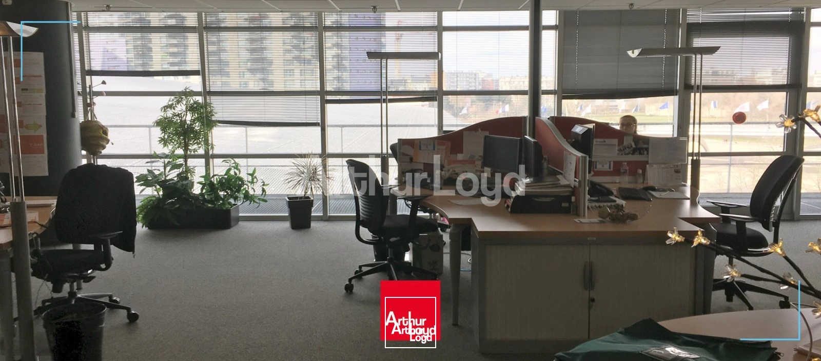 Bureaux - Location - EURALILLE - 59777 - 132-9191.2 - 7717742