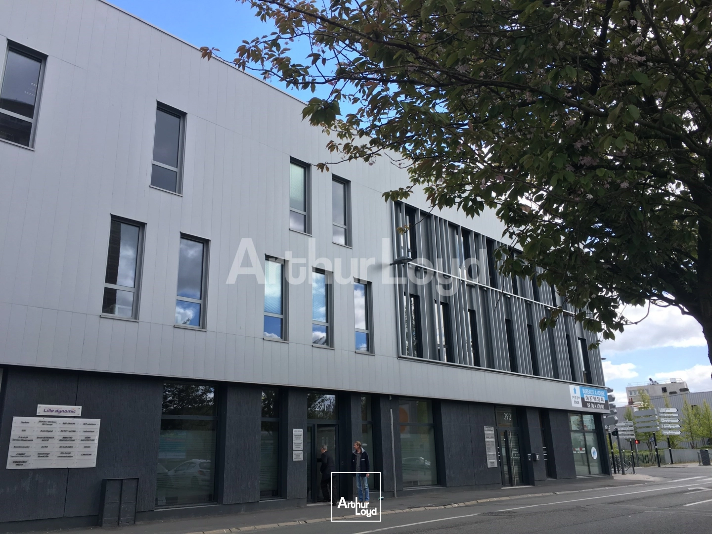 Bureaux - Location - LILLE - 59000 - 31-161 - 7717838