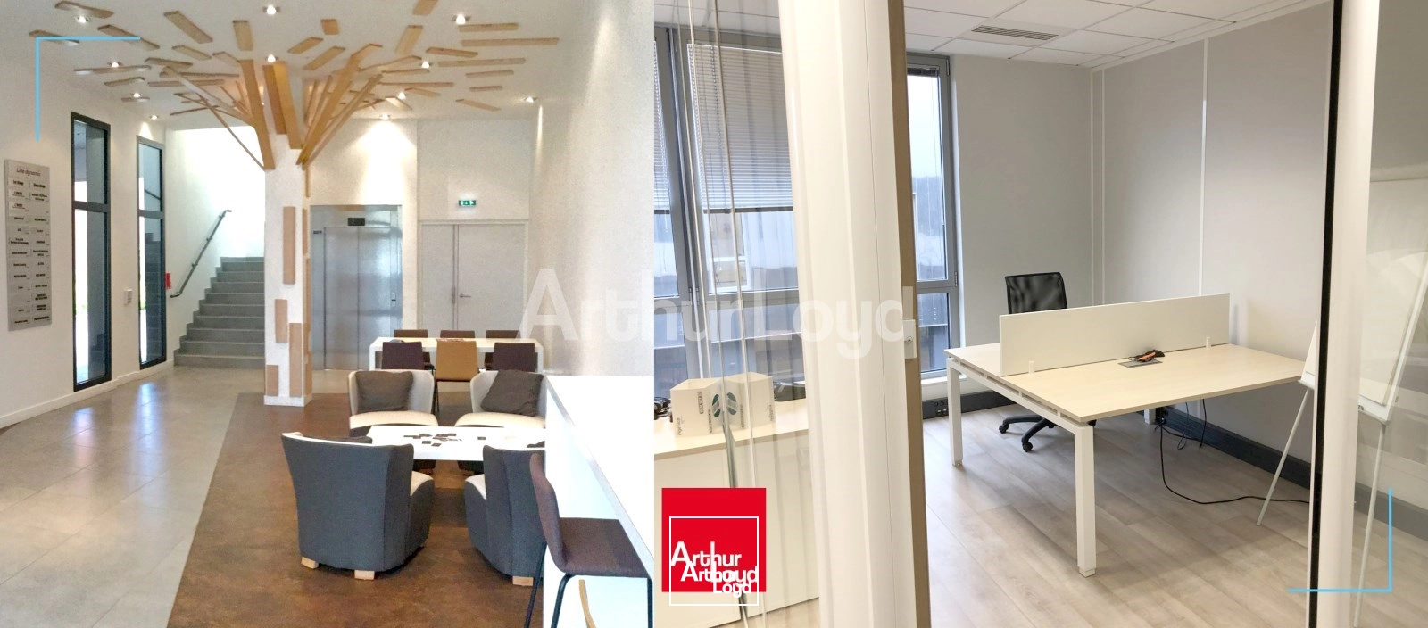 Bureaux - Location - LILLE - 59000 - 31-161 - 7717854