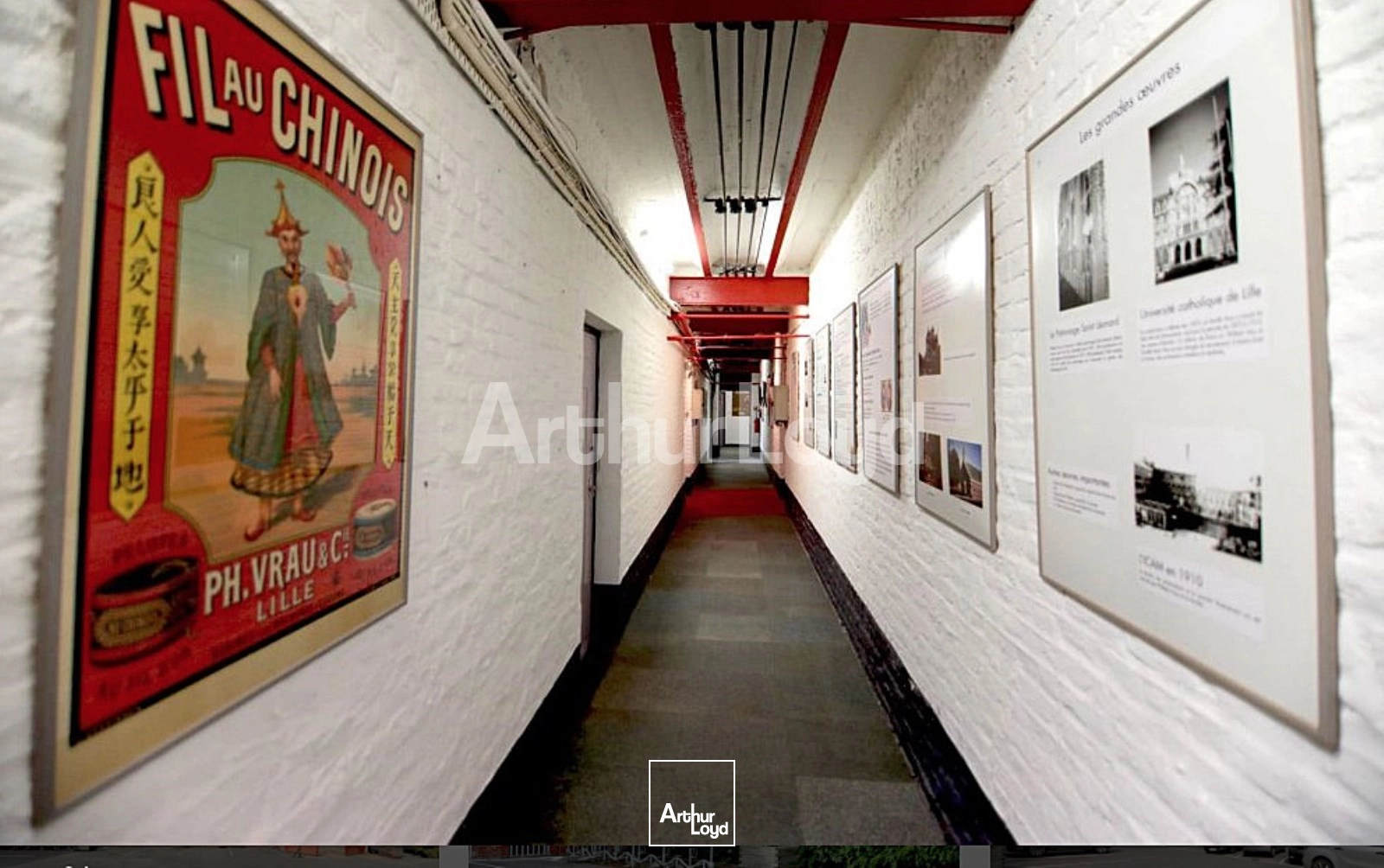 Bureaux - Location - LILLE - 59000 - 23-276 - 7717868