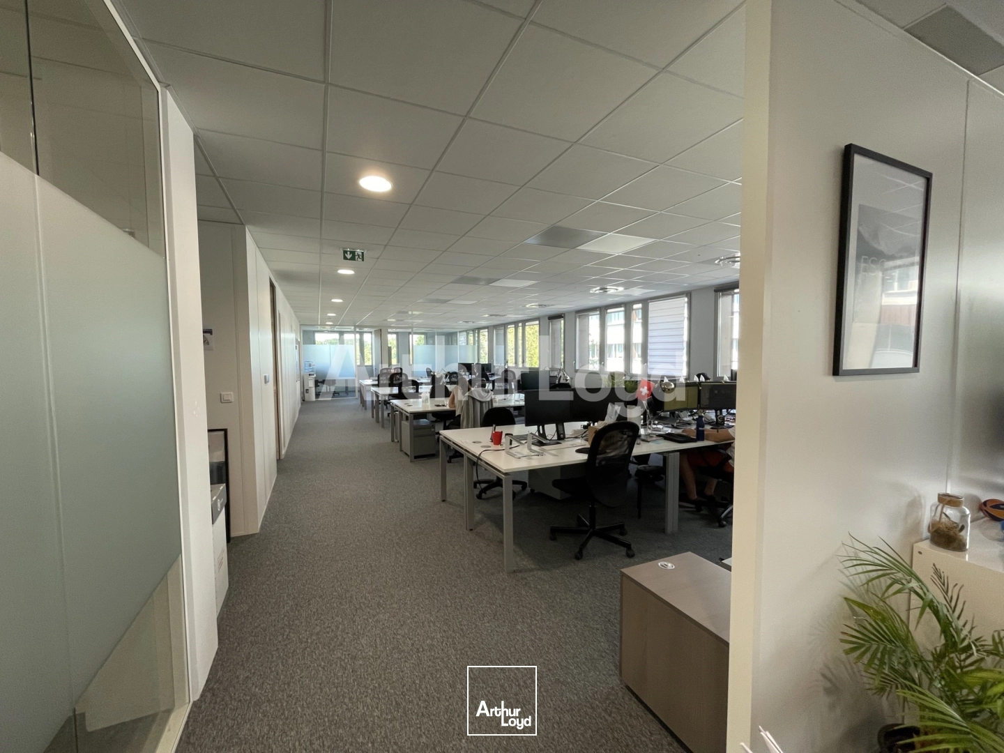 Bureaux - Location - MARCQ EN BAROEUL - 59700 - 254-527 - 7718110