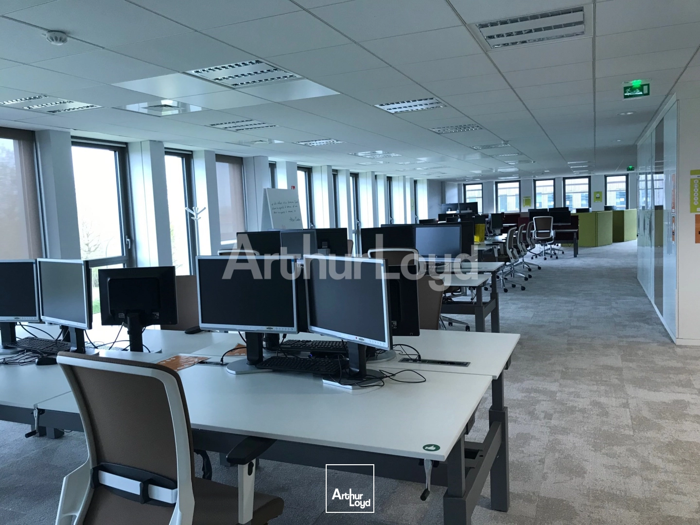 Bureaux - Location - VILLENEUVE D'ASCQ - 59650 - 819-2619 - 7718134