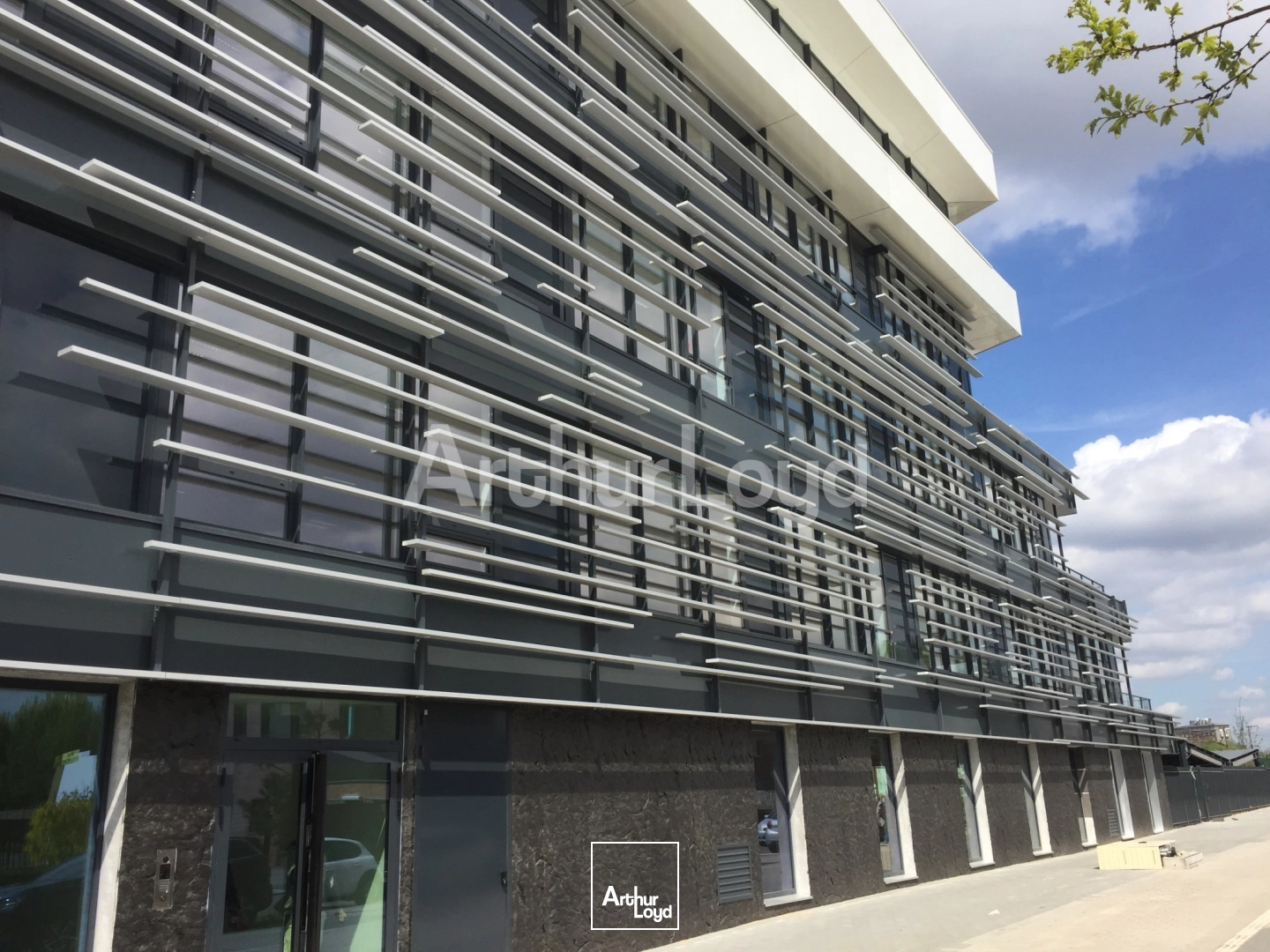 Bureaux - Location - LILLE - 59000 - 231-3971 - 7718338