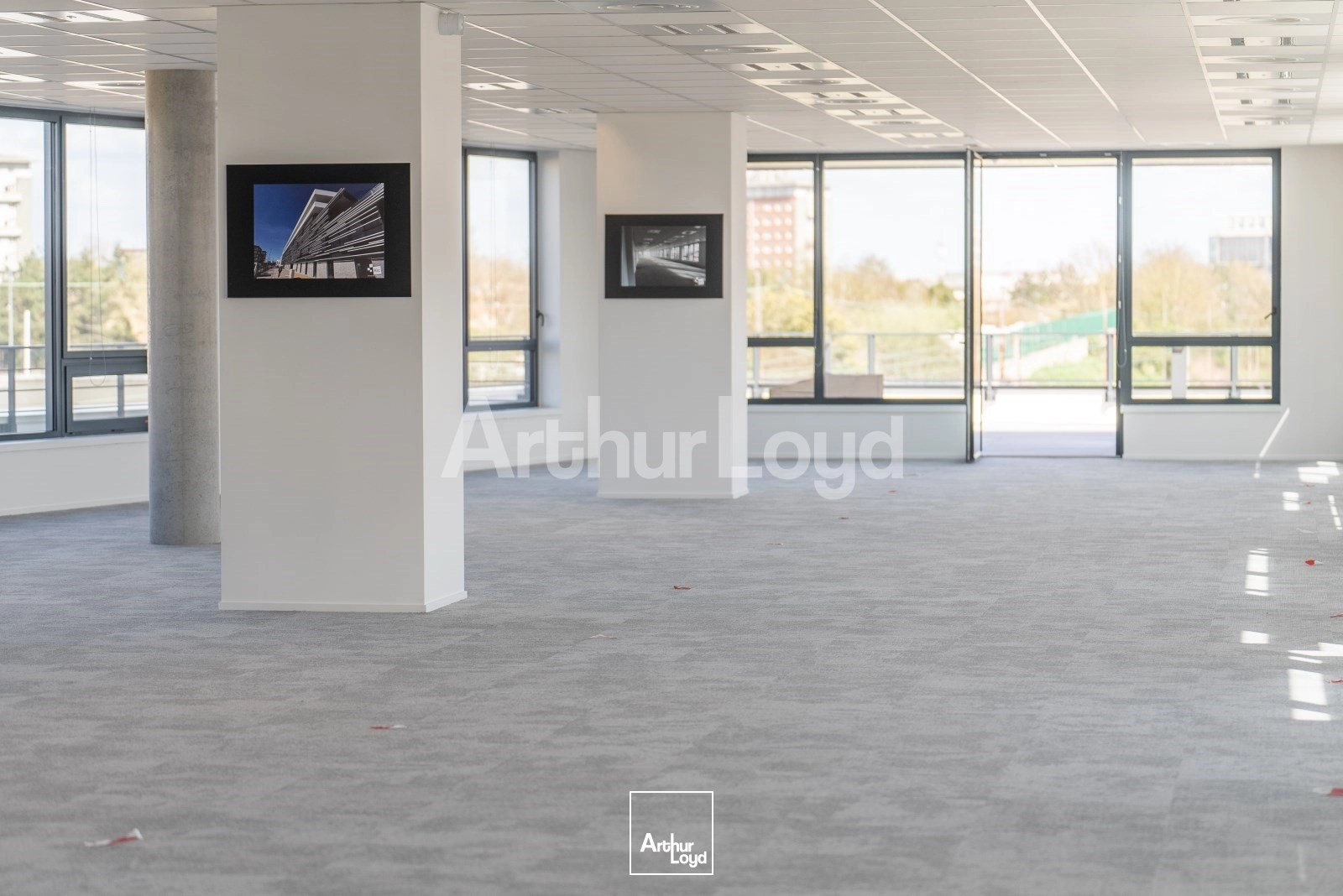 Bureaux - Location - LILLE - 59000 - 231-3971 - 7718345