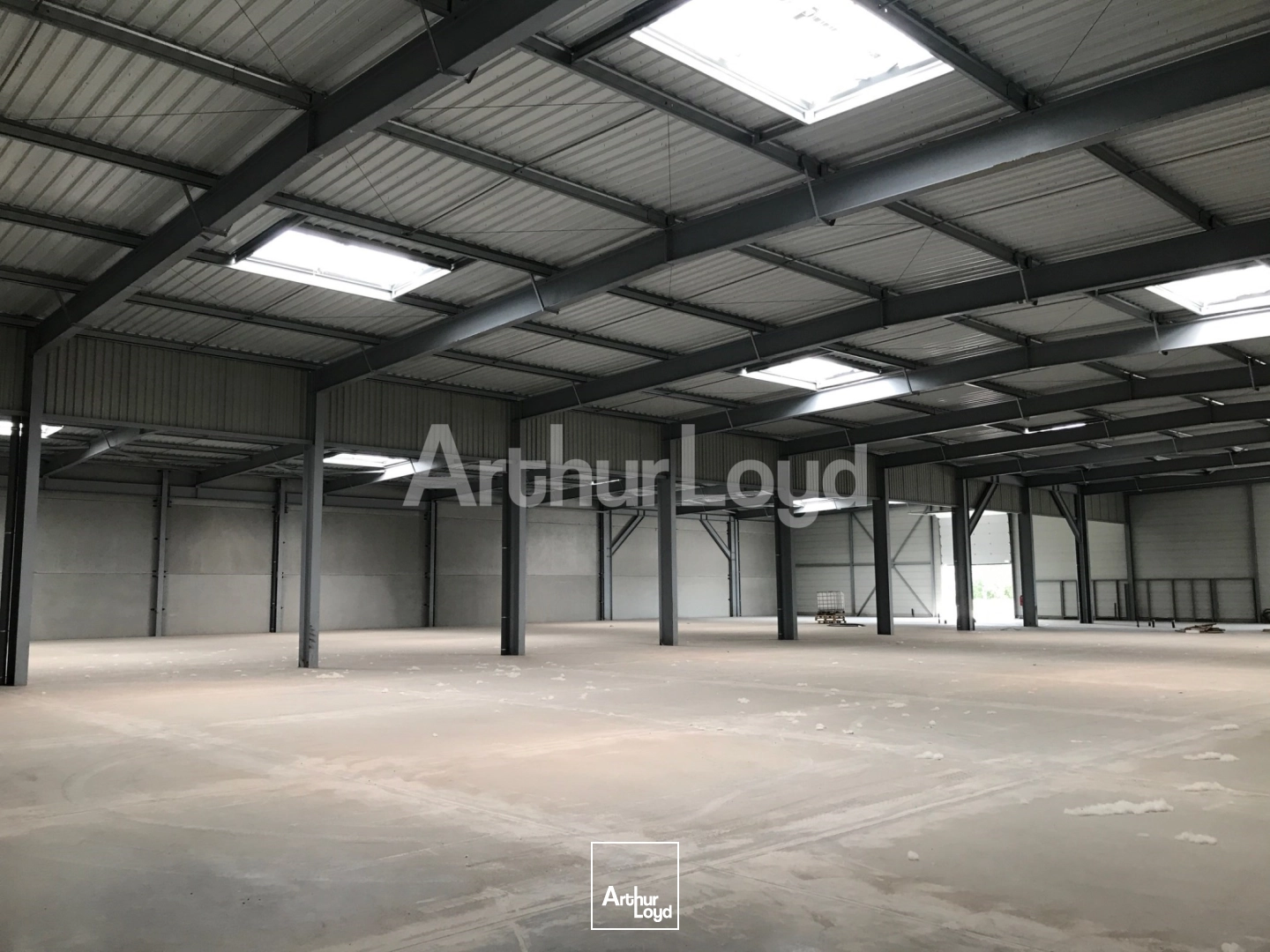 Locaux d'activité & Entrepôts - Location - SARS ET ROSIERES - 59230 - 2820-2820 - 7718379