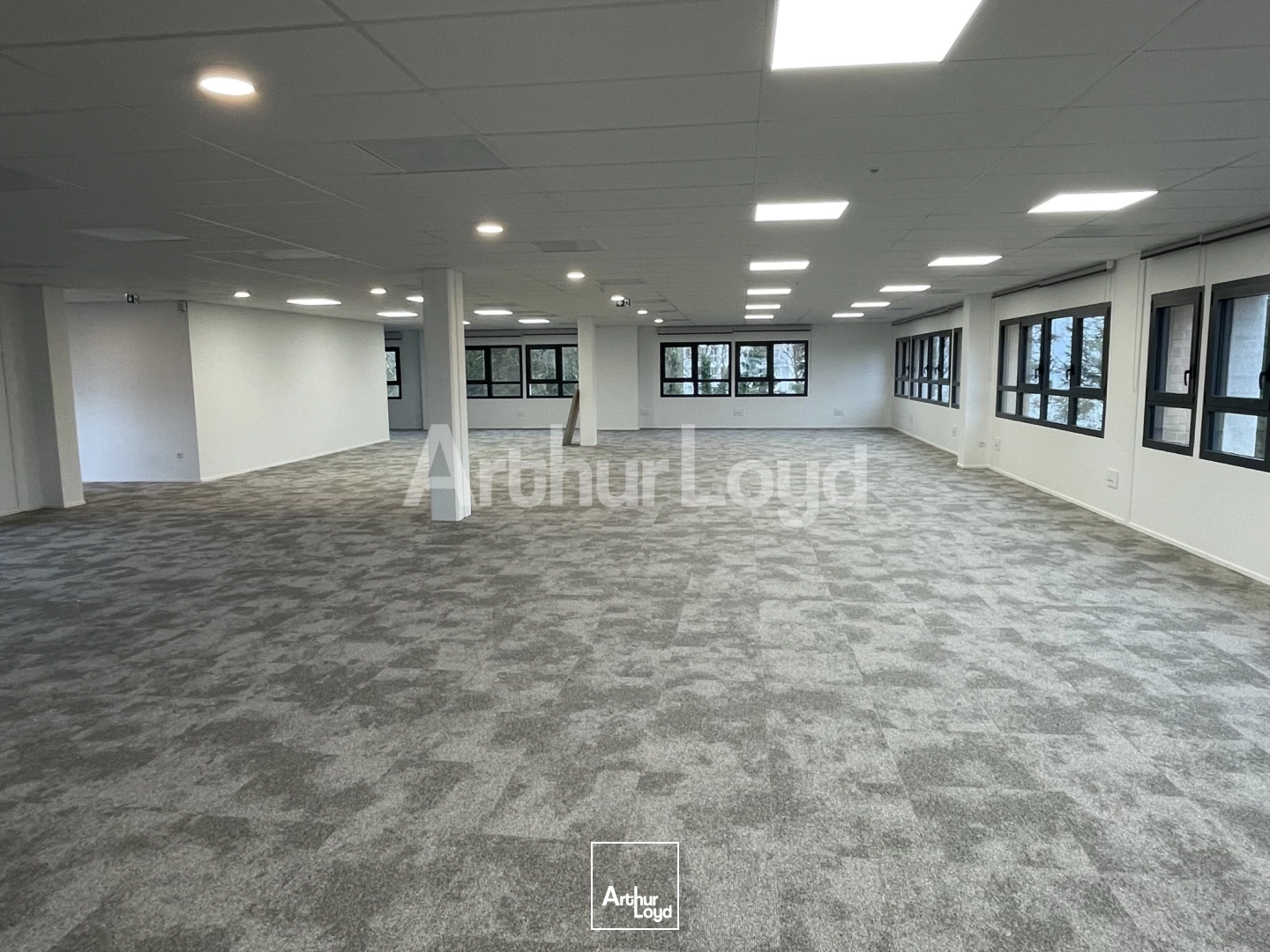 Bureaux - Location - VILLENEUVE D'ASCQ - 59650 - 579-1205 - 7718552