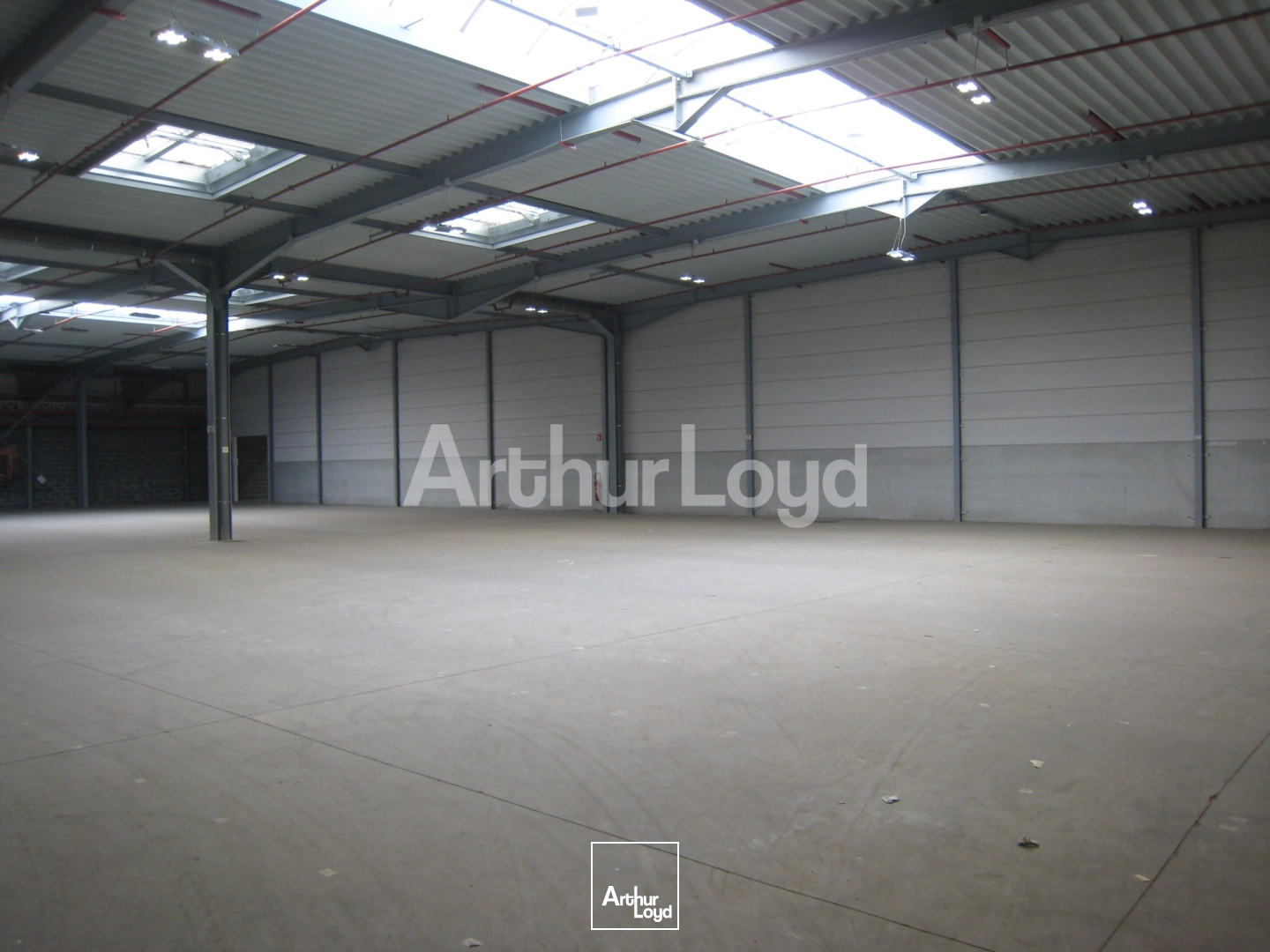 Locaux d'activité & Entrepôts - Location - TOURCOING - 59200 - 460-9250 - 7718606