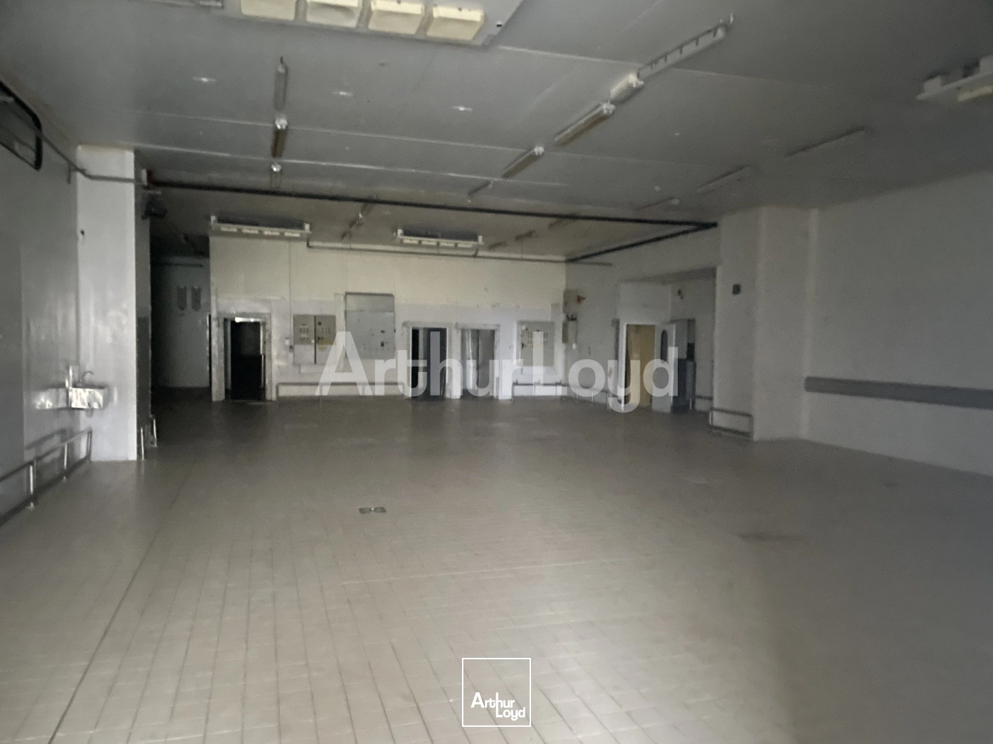 Locaux d'activité & Entrepôts - Vente - AUBIGNY EN ARTOIS - 62690 - 1500-1500 - 7718774