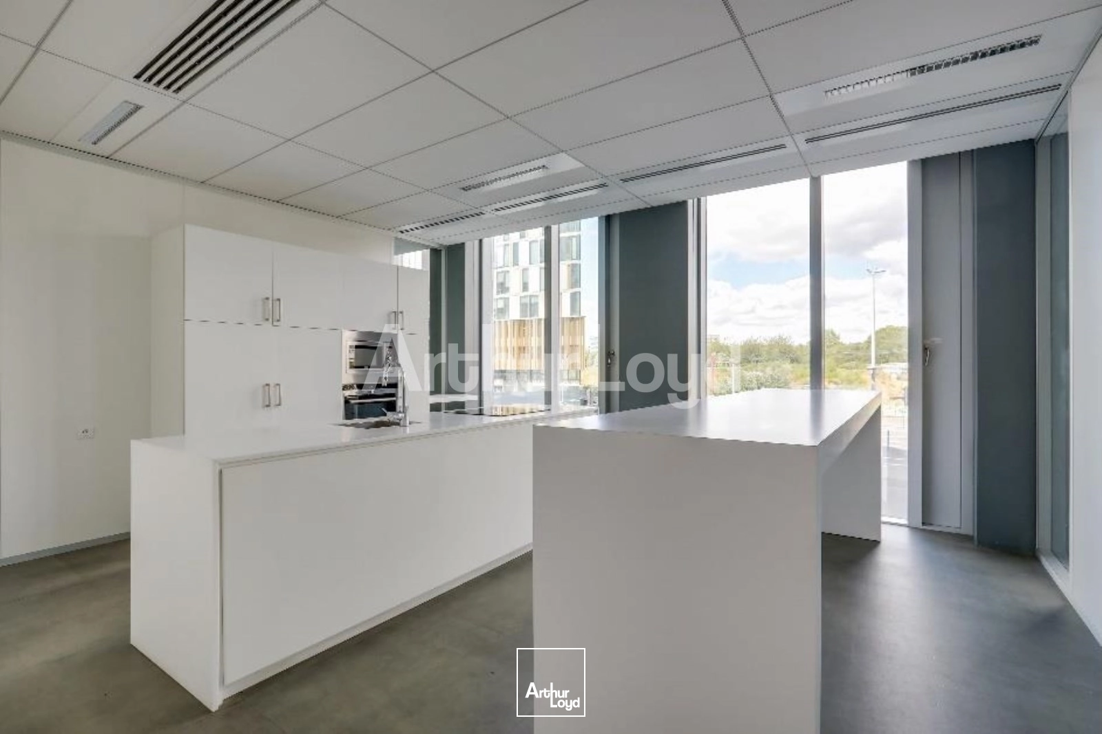 Bureaux - Location - EURALILLE - 59777 - 388.18-1988.53 - 7718852