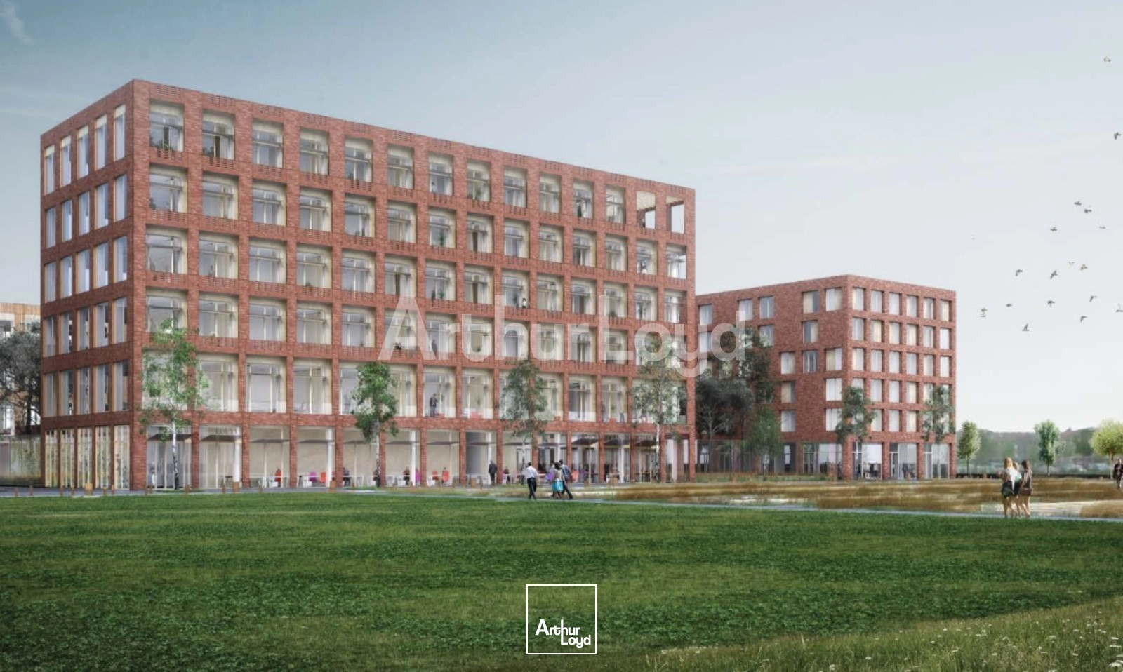 Bureaux - Location - LILLE - 59000 - 619.67-6067.67 - 7718929