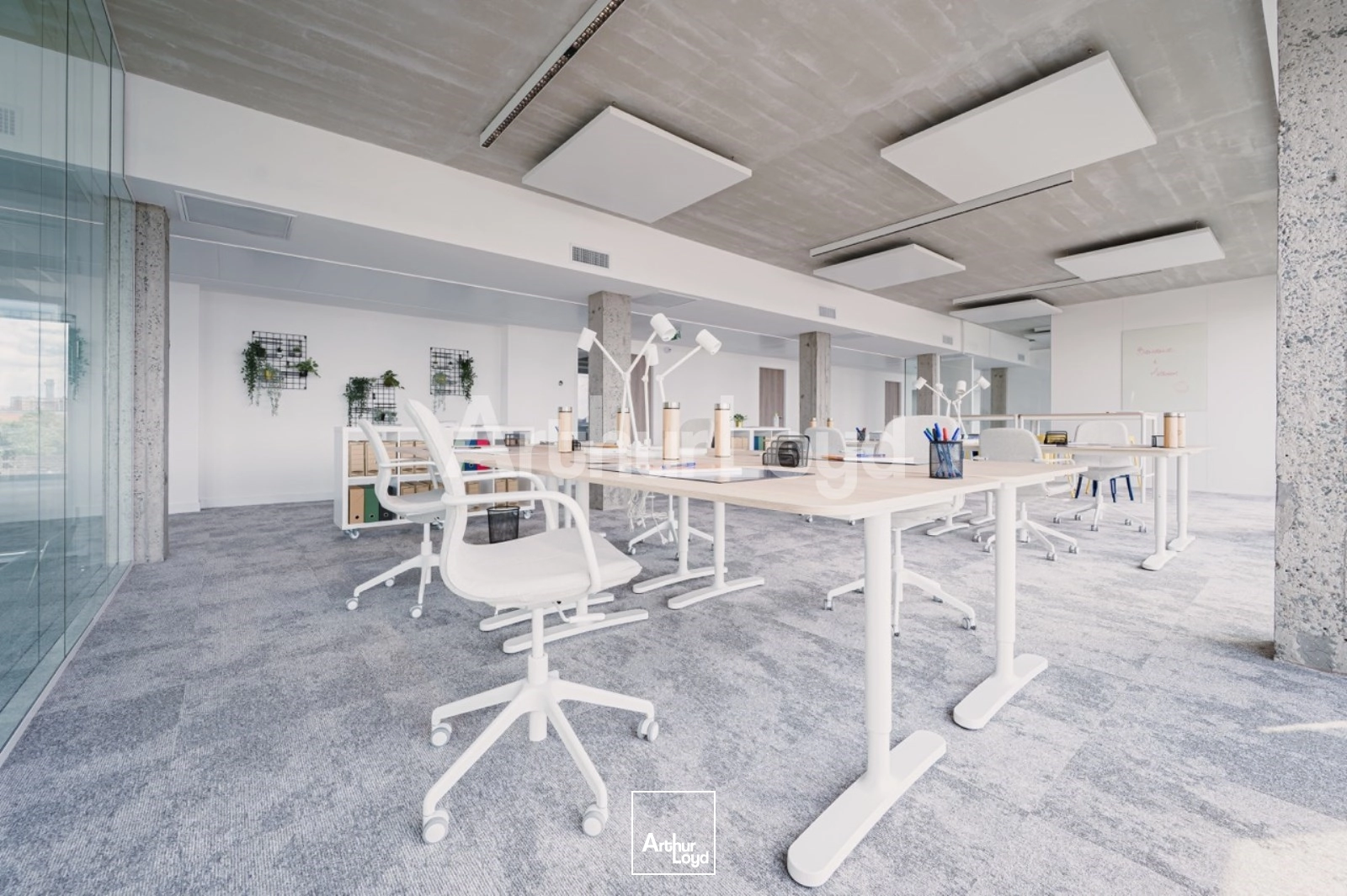 Bureaux - Location - LILLE - 59000 - 172.6-2741.1 - 7719048