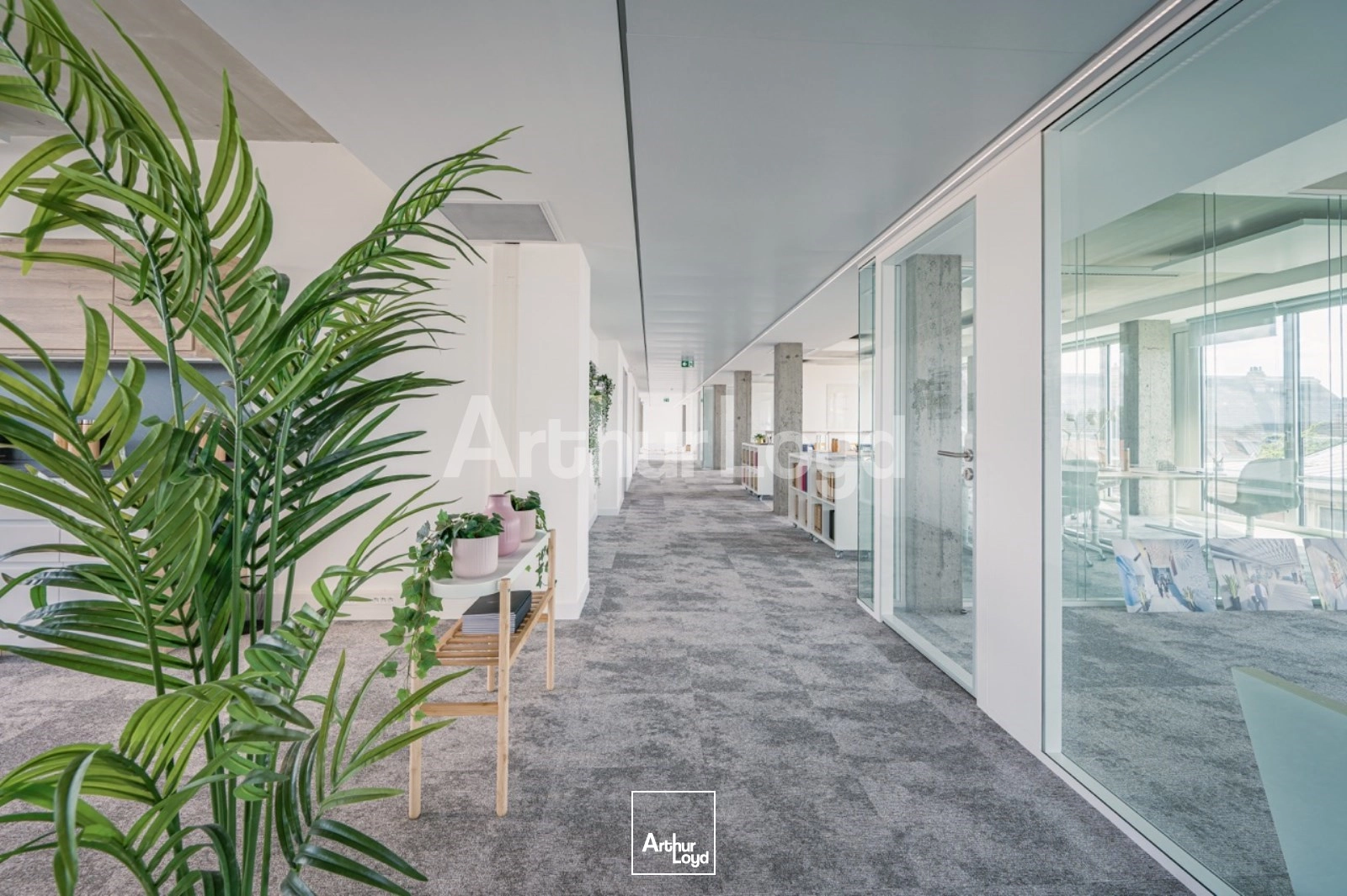 Bureaux - Location - LILLE - 59000 - 172.6-2741.1 - 7719052