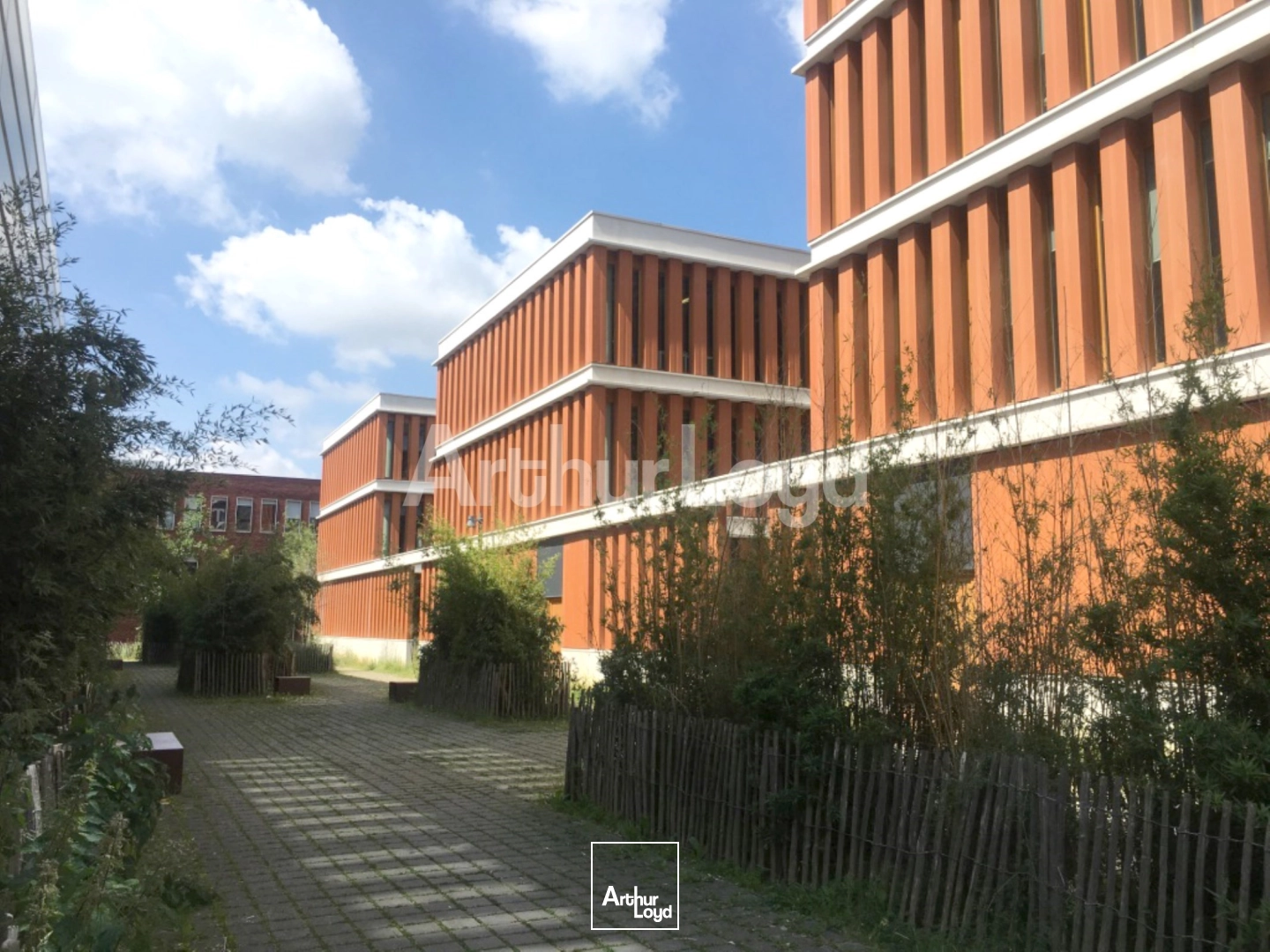 Bureaux - Location - LILLE - 59000 - 215-1726 - 7719322