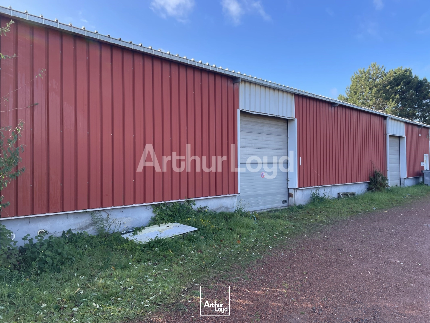 Locaux d'activité & Entrepôts - Location - DOUAI - 59500 - 200-200 - 7719571