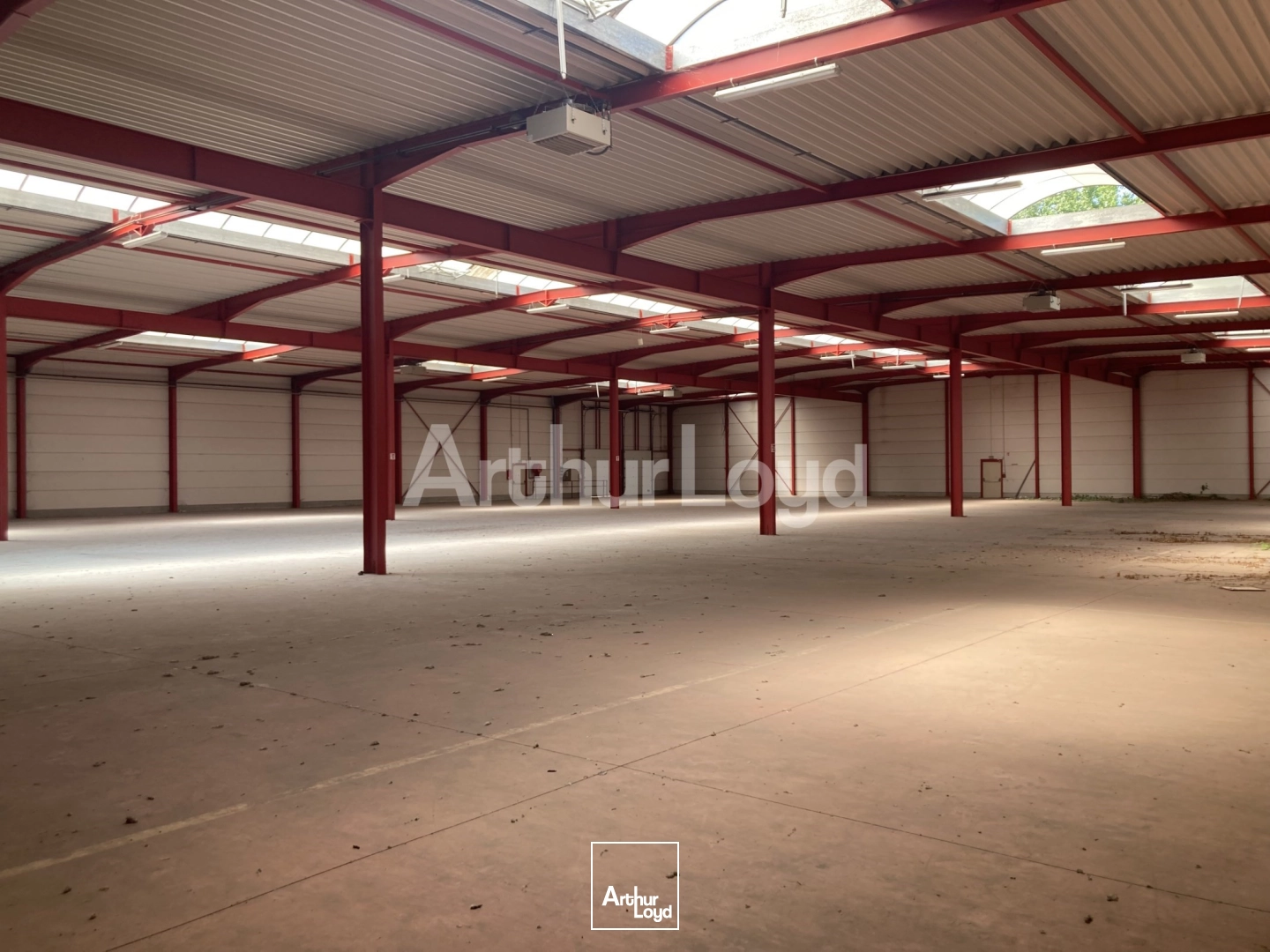 Locaux d'activité & Entrepôts - Location - HALLUIN - 59250 - 2640-2640 - 7719583