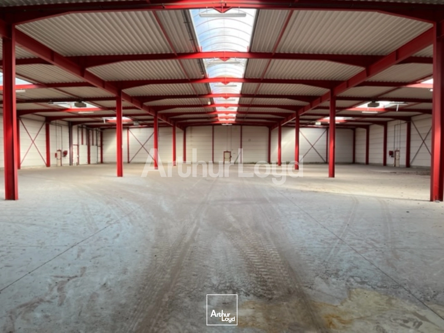 Locaux d'activité & Entrepôts - Location - HALLUIN - 59250 - 2640-2640 - 7719582