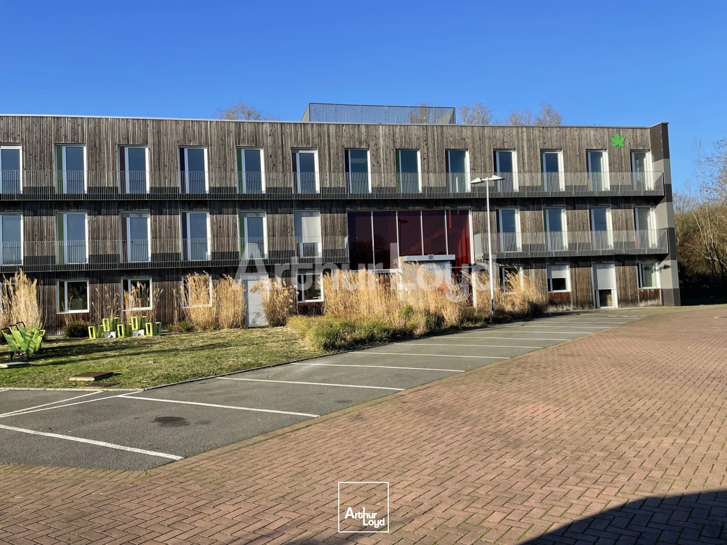 Bureaux - Location - VILLENEUVE D'ASCQ - 59650 - 944-2834 - 7719673