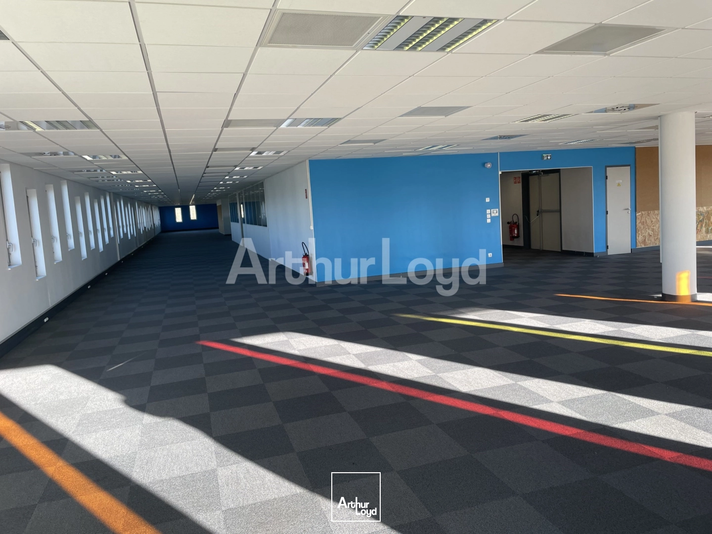 Bureaux - Location - VILLENEUVE D'ASCQ - 59650 - 944-2834 - 7719677