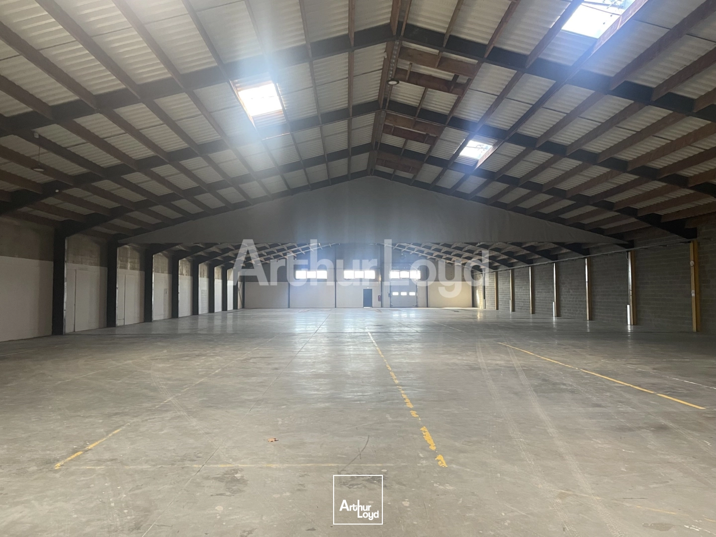 Locaux d'activité & Entrepôts - Location - NEUVILLE EN FERRAIN - 59960 - 1834-1834 - 7719846