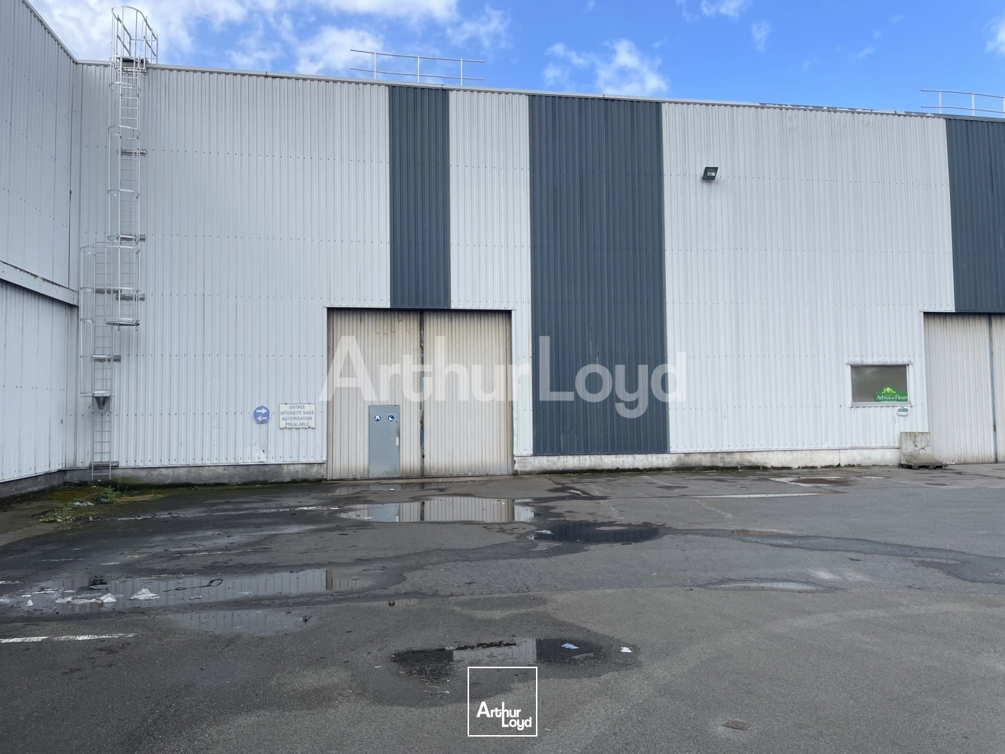 Locaux d'activité & Entrepôts - Location - DOUAI - 59500 - 1370-6370 - 7719909