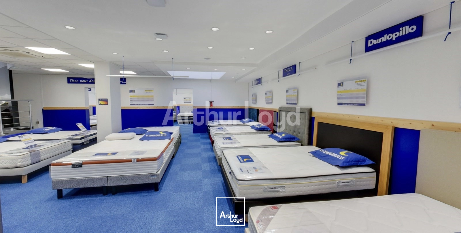 Locaux commerciaux - Location - LILLE - 59000 - 427.16-427.16 - 7719980