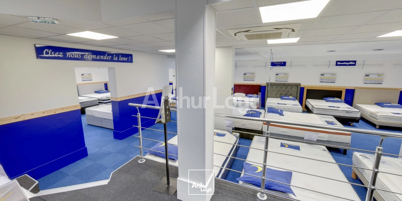 Locaux commerciaux - Location - LILLE - 59000 - 427.16-427.16 - 7719983