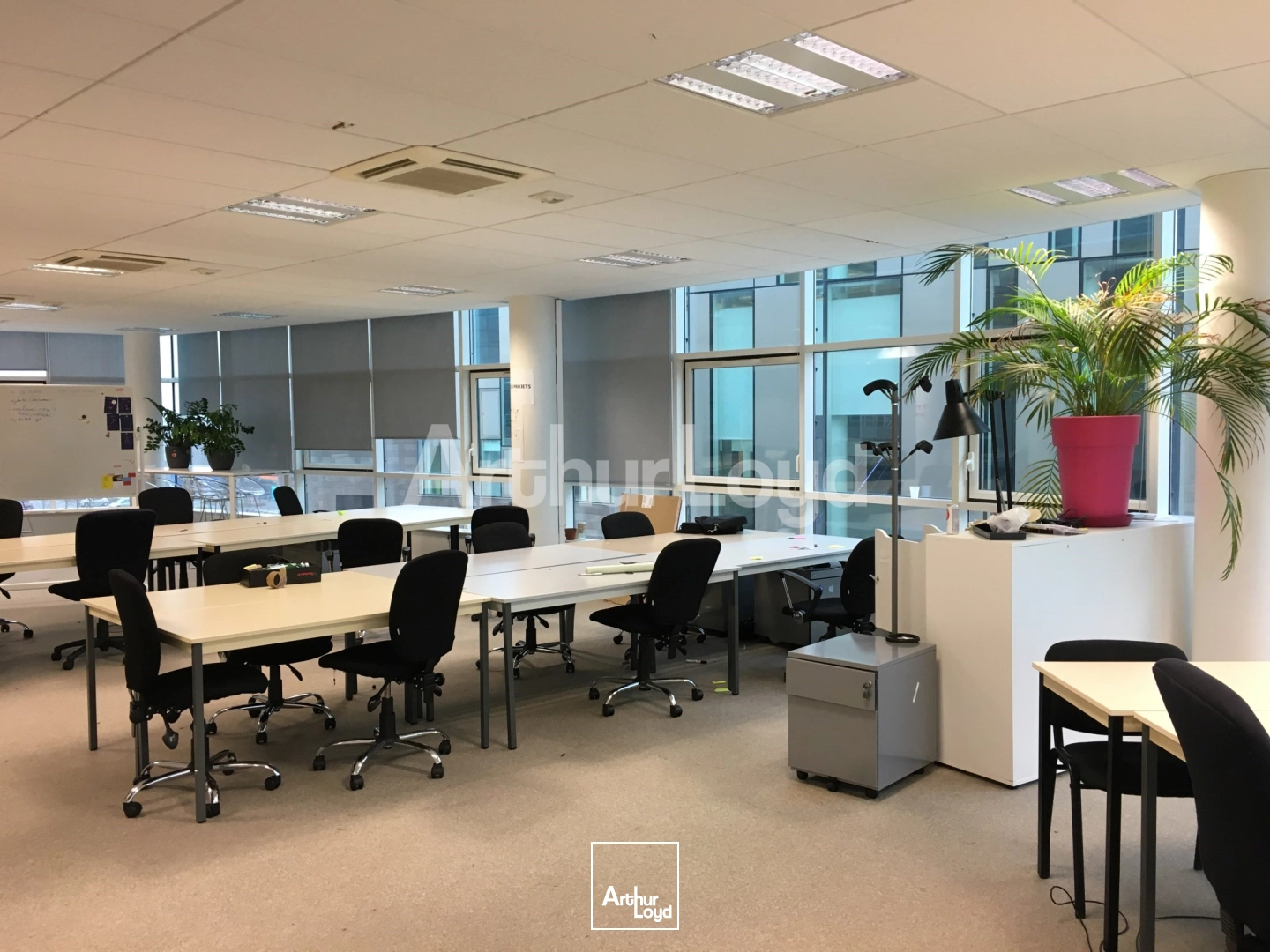 Bureaux - Location - VILLENEUVE D'ASCQ - 59650 - 114.7-4319.5 - 7720001