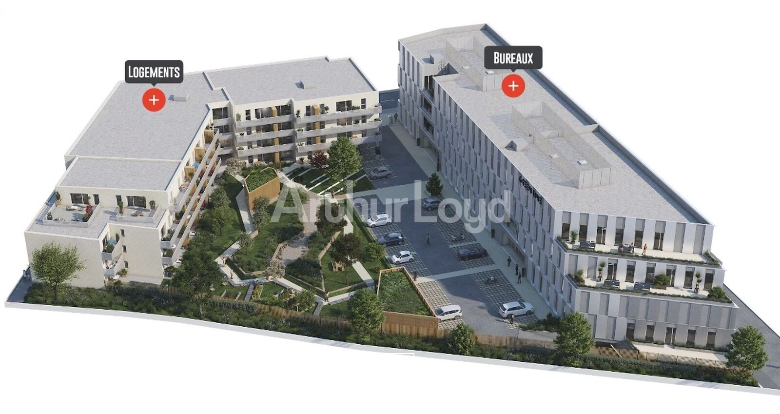 Bureaux - Location - VILLENEUVE D'ASCQ - 59650 - 1196-5258 - 7720037