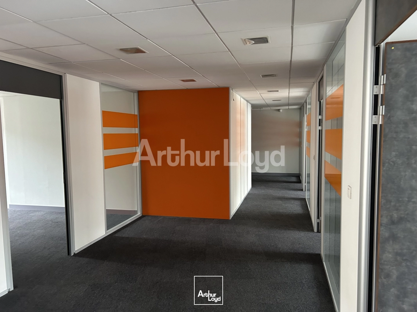 Bureaux - Location - LILLE - 59000 - 1003-1003 - 7720227