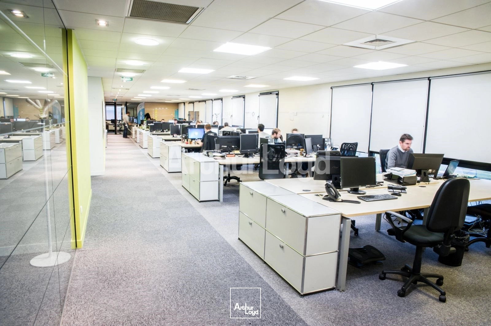 Bureaux - Location - VILLENEUVE D'ASCQ - 59650 - 650-1300 - 7720538