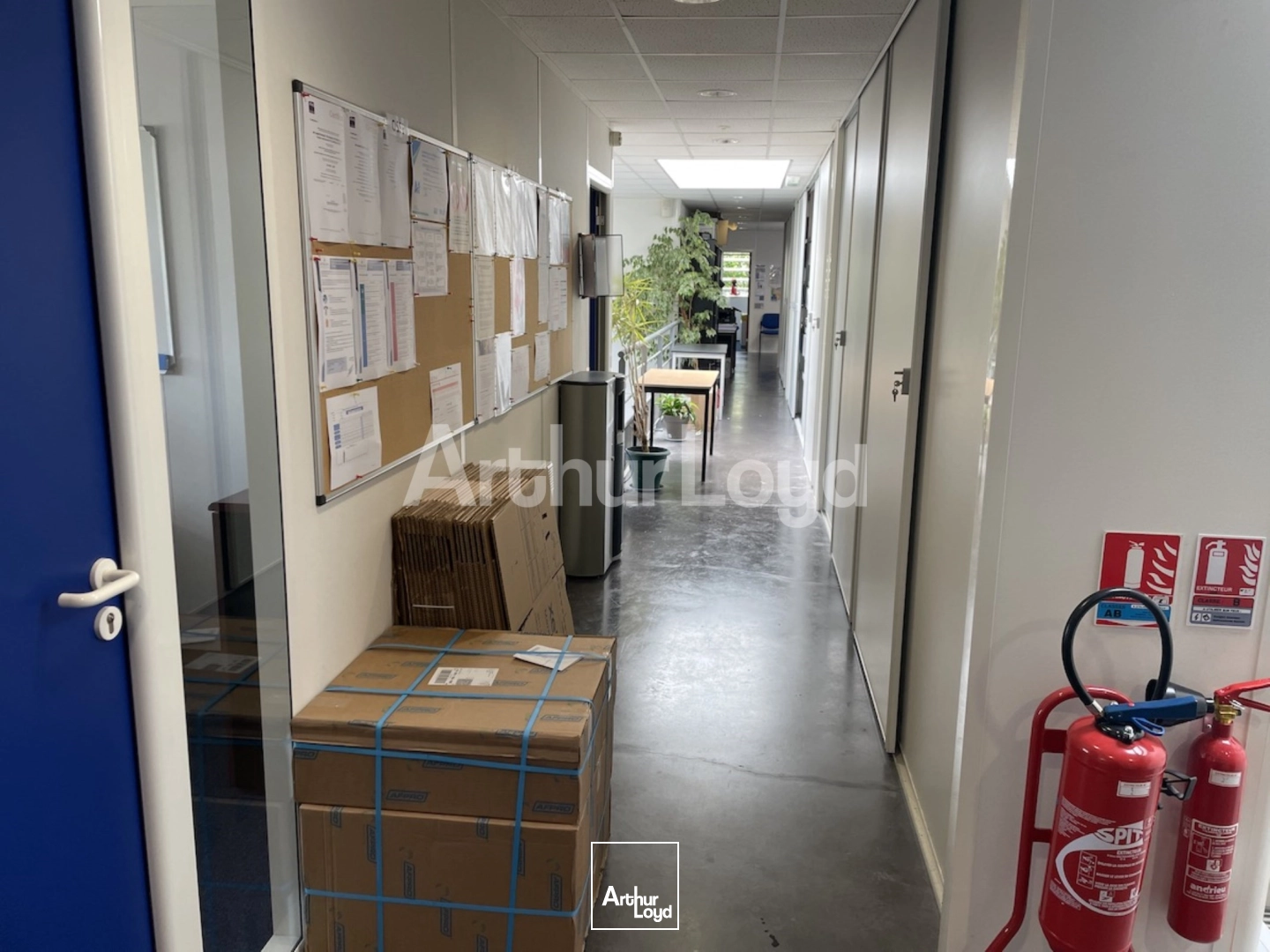 Locaux d'activité & Entrepôts - Vente - ORCHIES - 59310 - 1180-1180 - 7720956