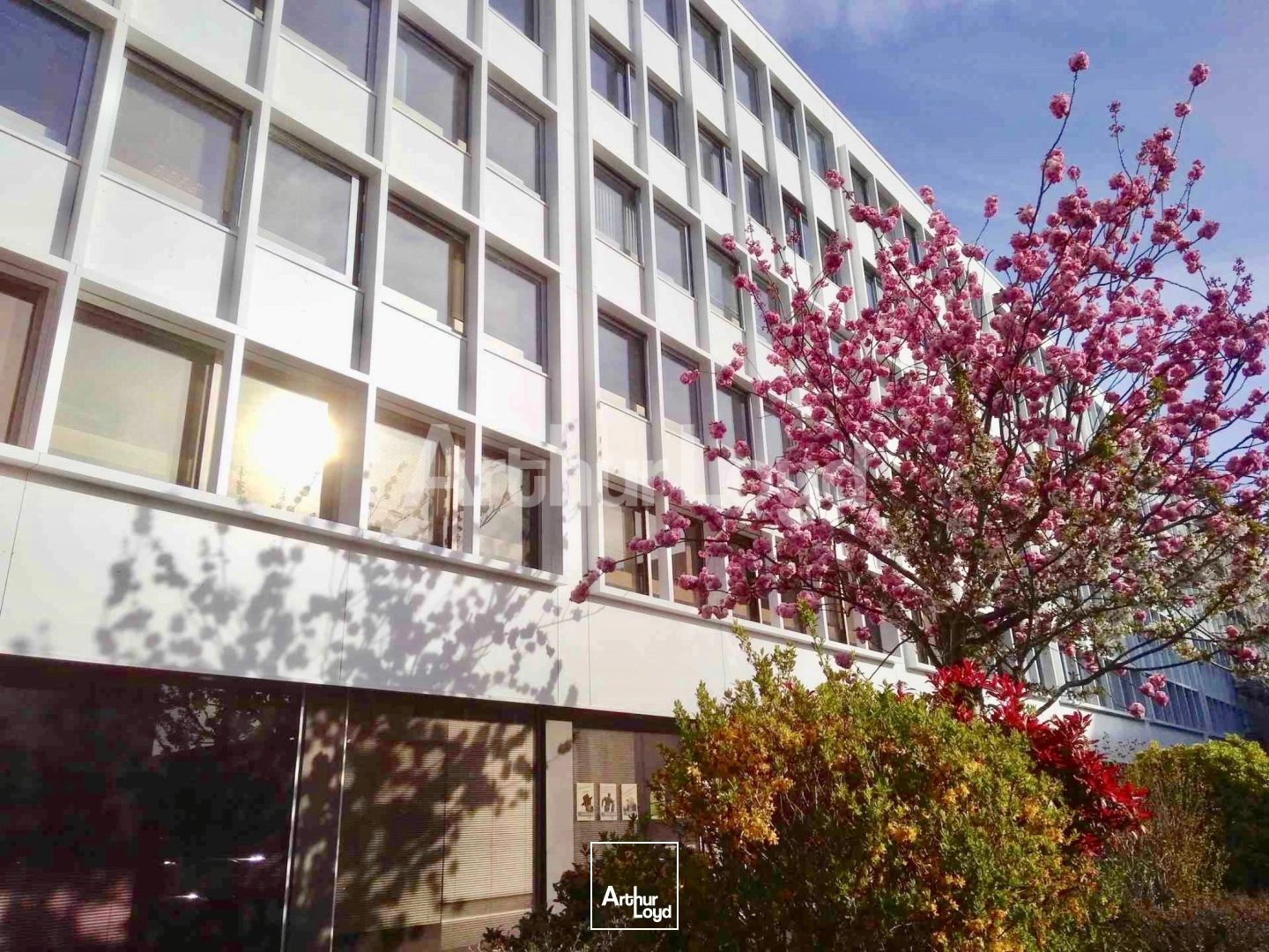 Bureaux - Location - LILLE - 59000 - 88-88 - 7721150