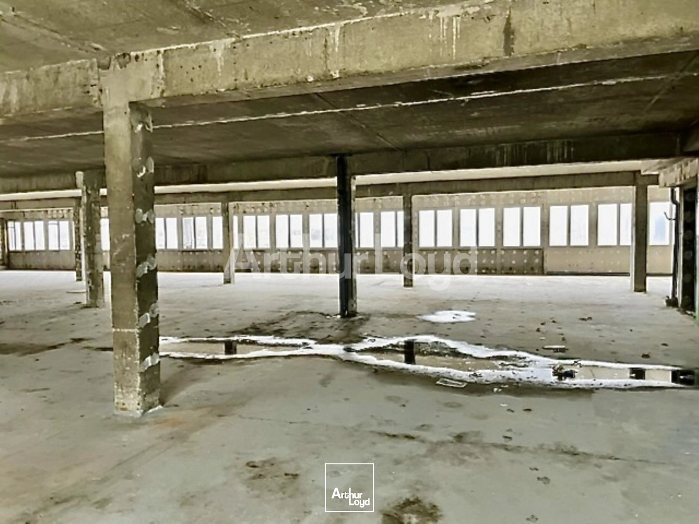 Bureaux - Location - MONS EN BAROEUL - 59370 - 1843.1-1843.1 - 7721370