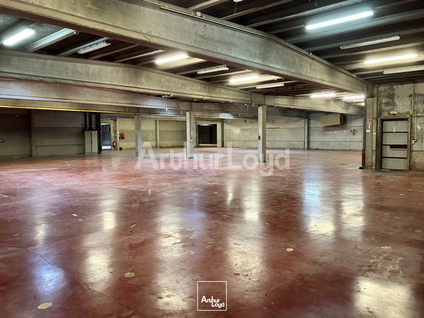 Locaux d'activité & Entrepôts - Location - HALLUIN - 59250 - 2013-2013 - 7721659