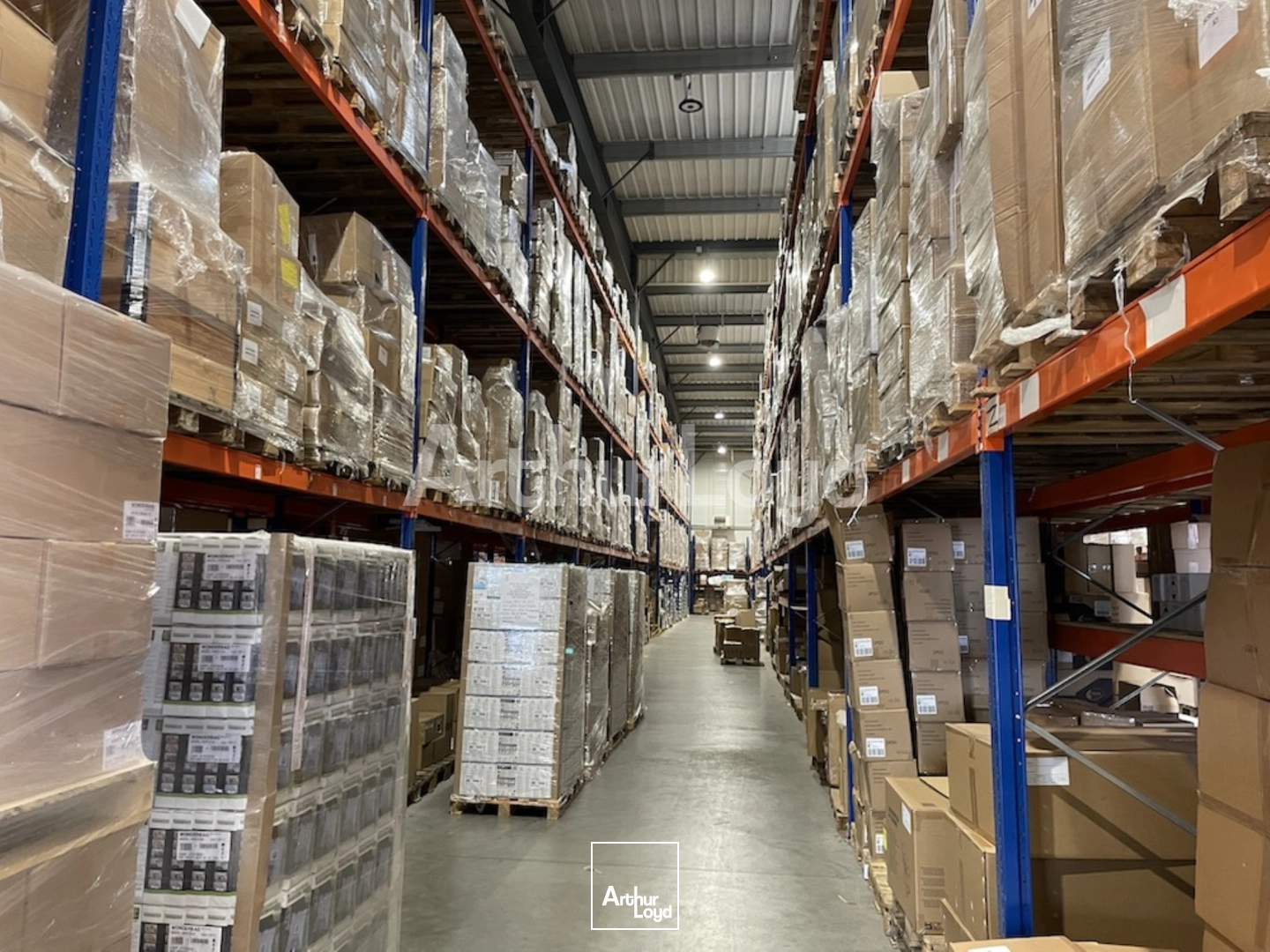 Locaux d'activité & Entrepôts - Location - SARS ET ROSIERES - 59230 - 4152-4152 - 7722147