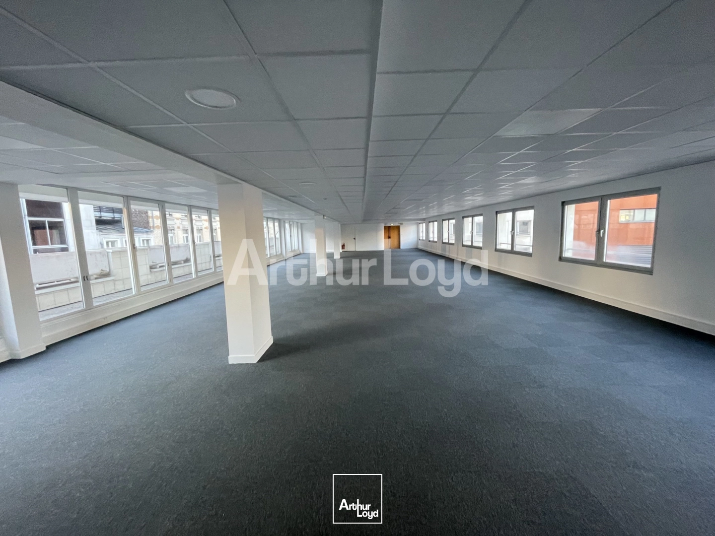 Bureaux - Vente - LILLE - 59000 - 262.4-262.4 - 7722551