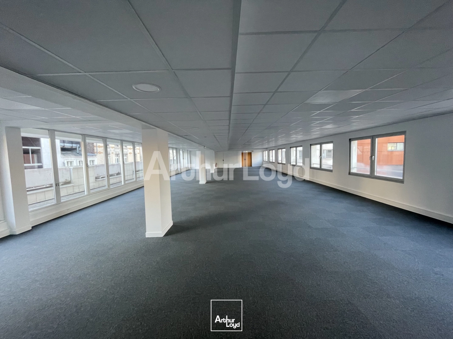 Bureaux - Vente - LILLE - 59000 - 262.4-262.4 - 7722553