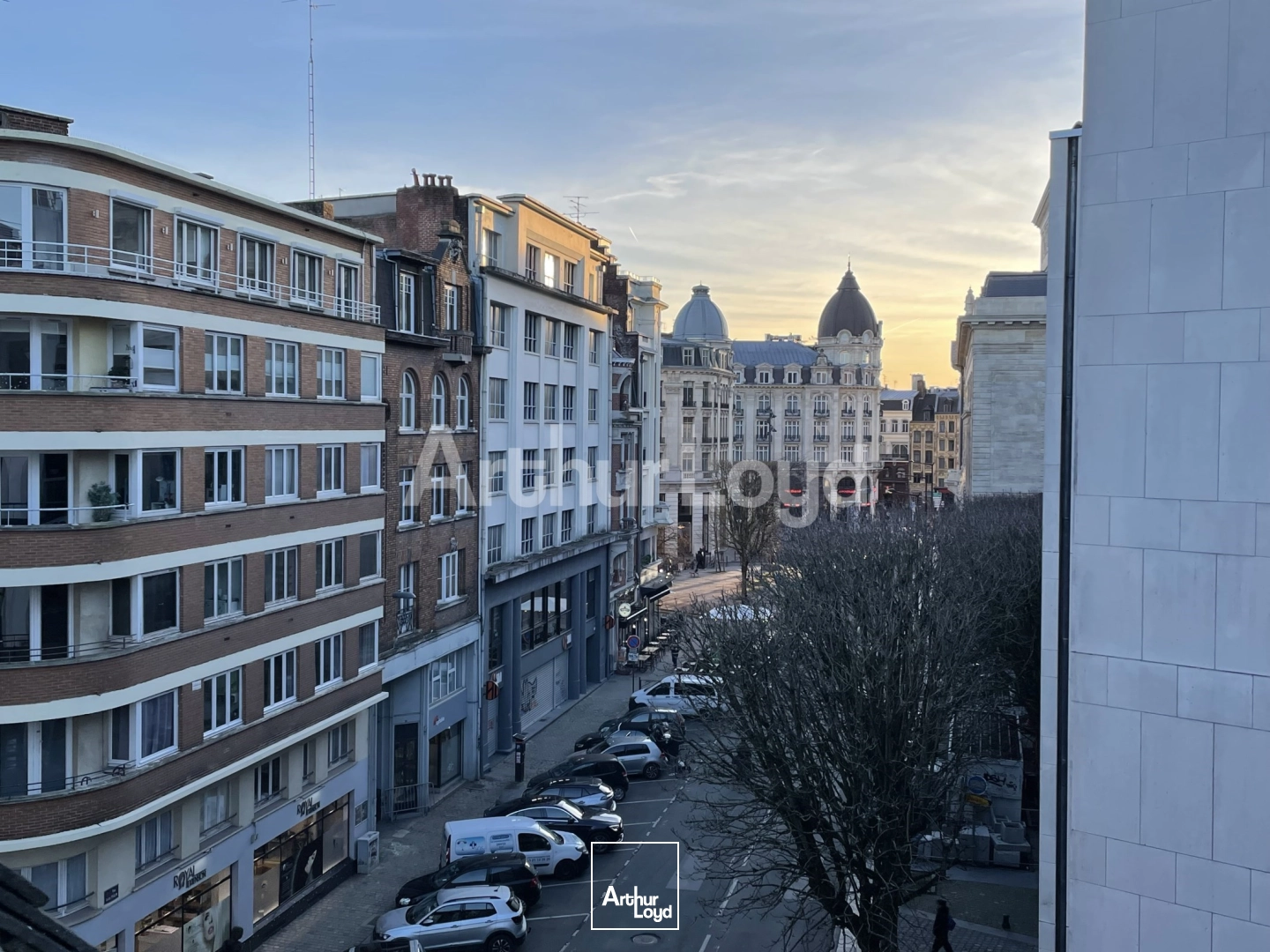 Bureaux - Vente - LILLE - 59000 - 262.4-262.4 - 7722554