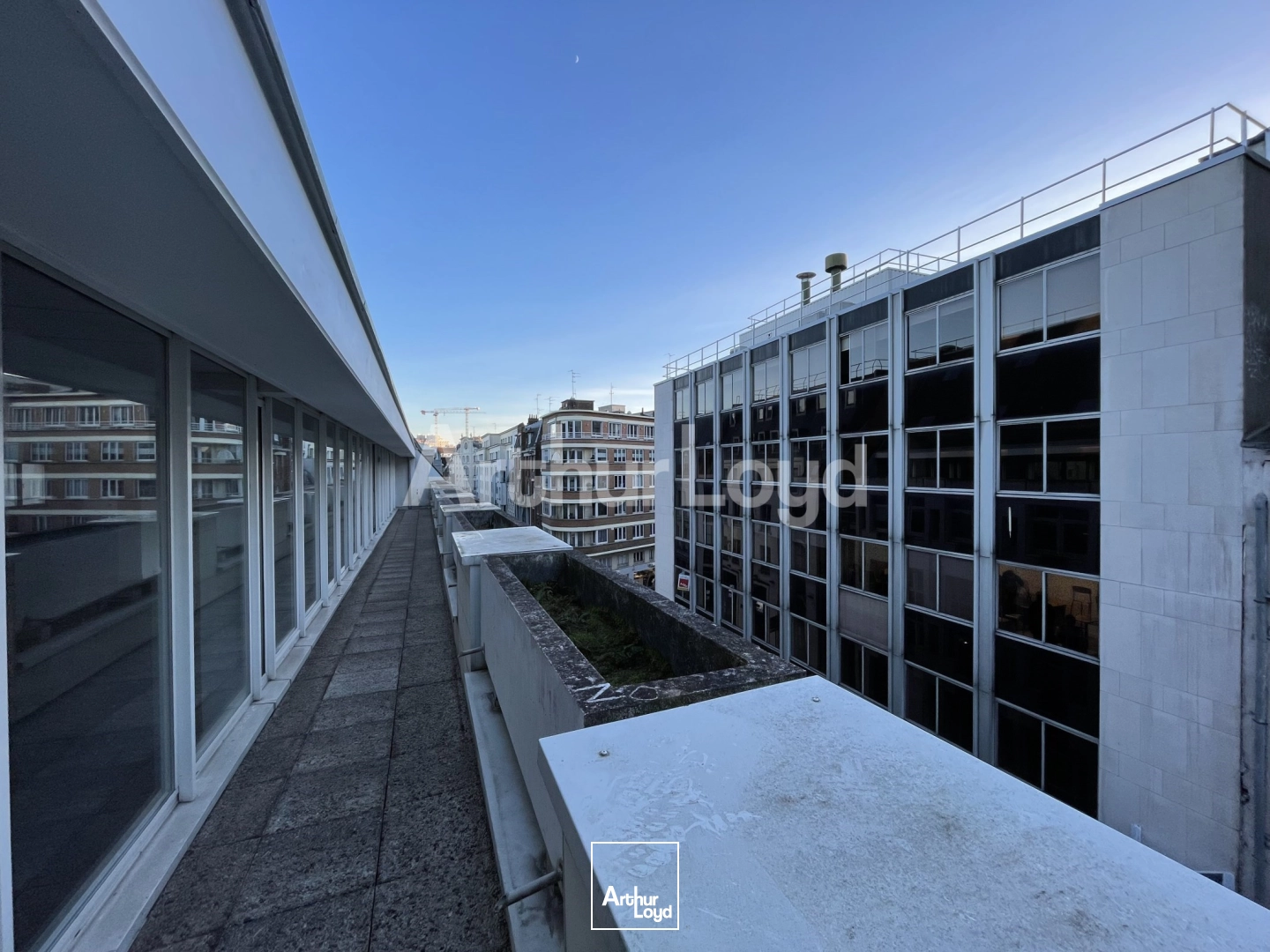 Bureaux - Vente - LILLE - 59000 - 262.4-262.4 - 7722555