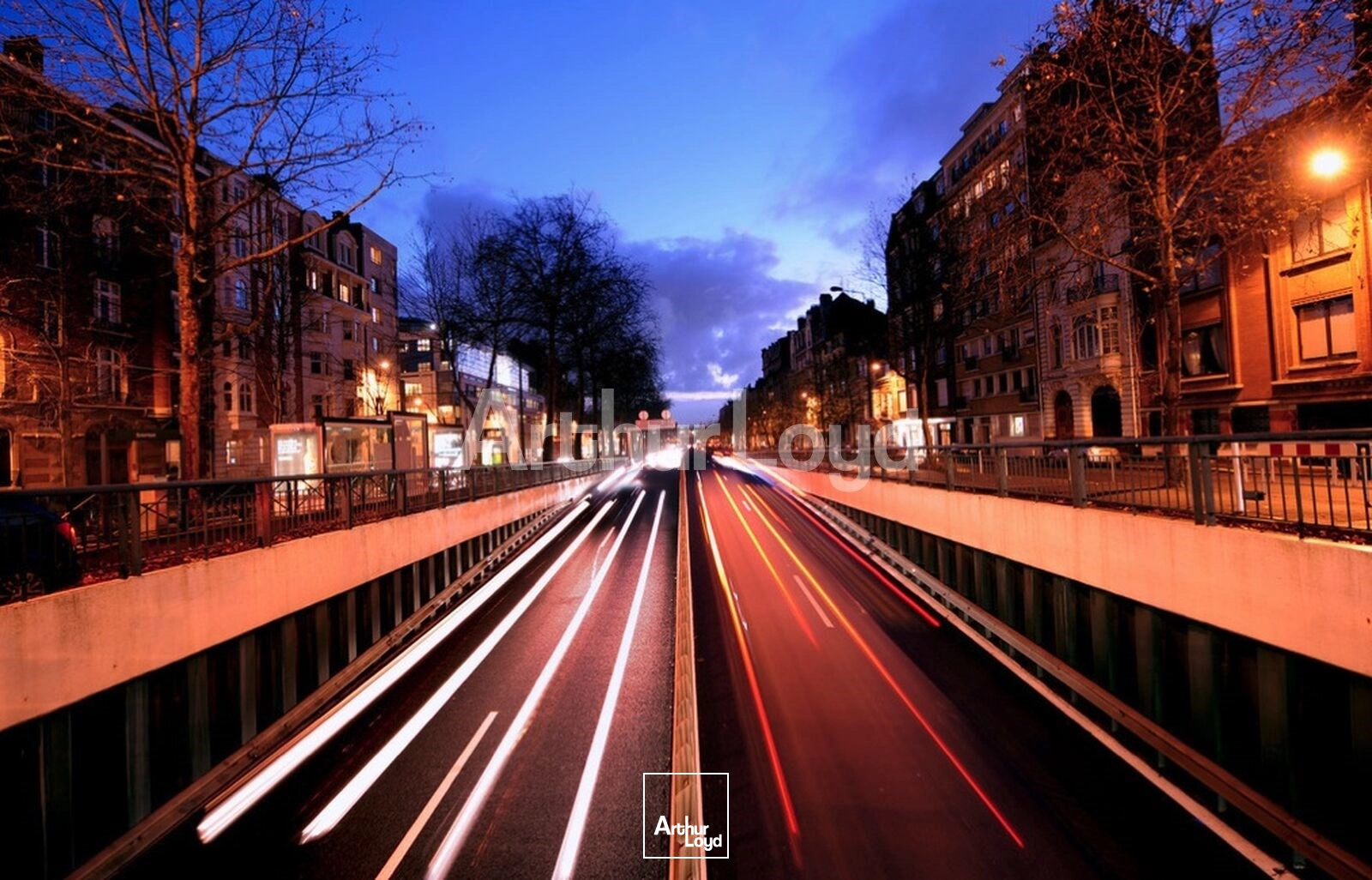 Locaux commerciaux - Location - LILLE - 59000 - 56-181 - 7722787