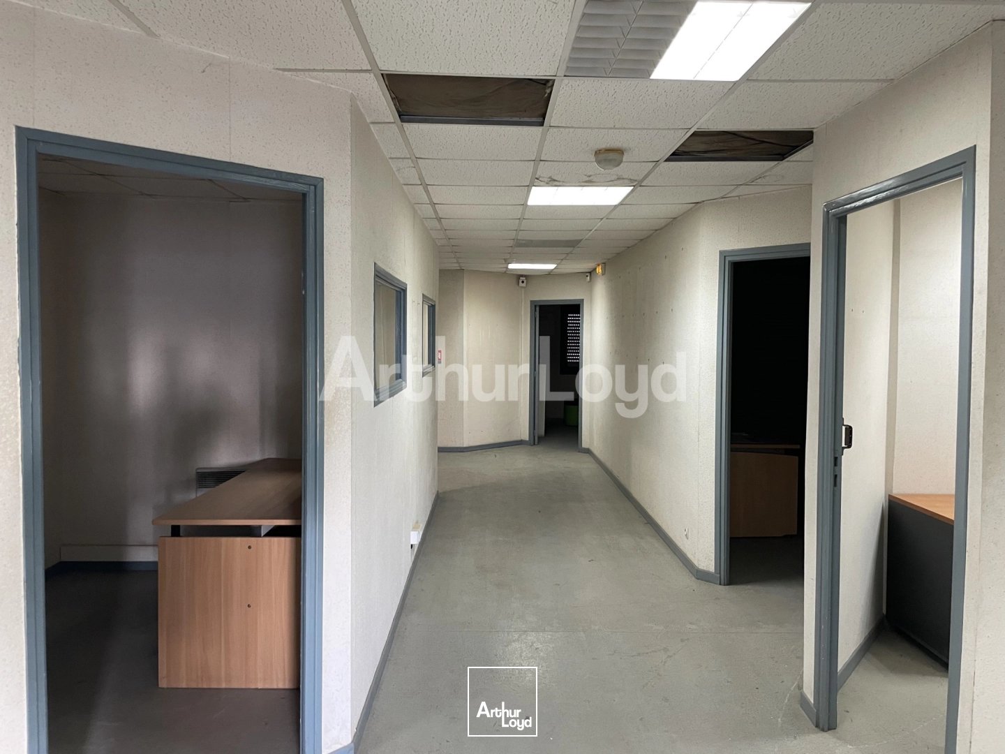 Locaux d'activité & Entrepôts - Vente - SALOME - 59496 - 209-3740 - 7722963