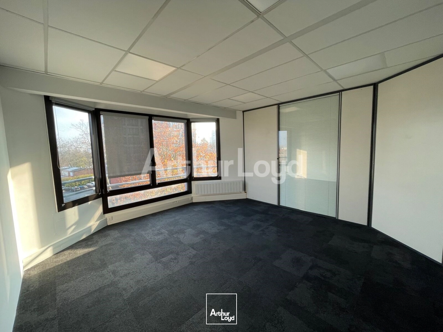 Bureaux - Location - LILLE - 59000 - 181-181 - 7723023