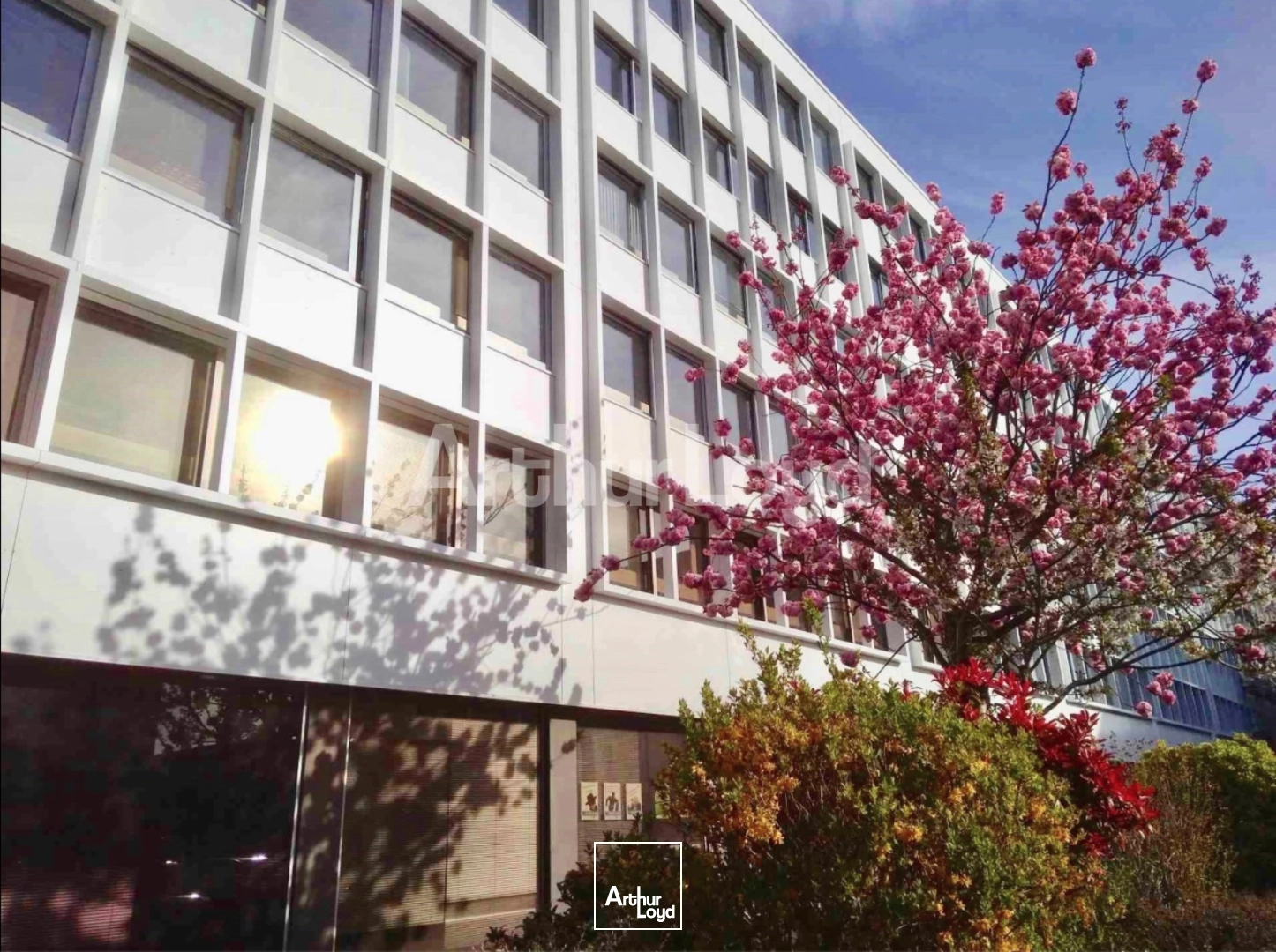 Bureaux - Location - LILLE - 59000 - 465-465 - 7723319