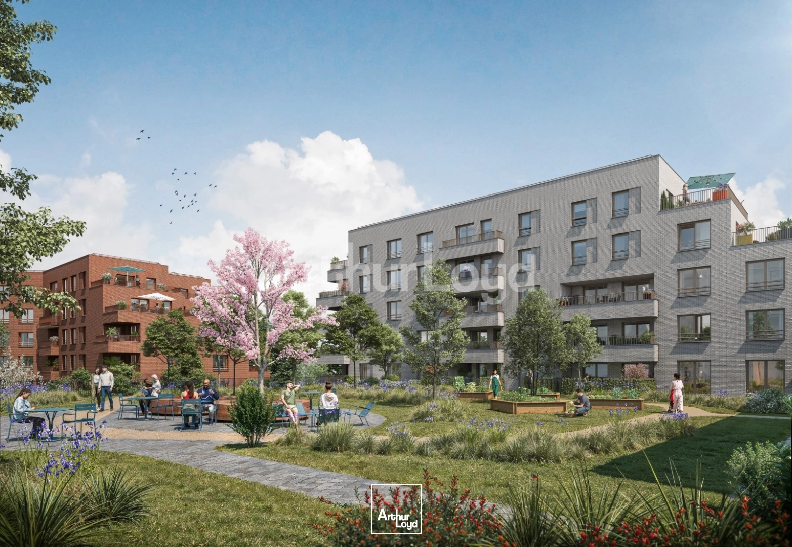 Locaux commerciaux - Vente - SAINT ANDRE LEZ LILLE - 59350 - 439-2246 - 7723325