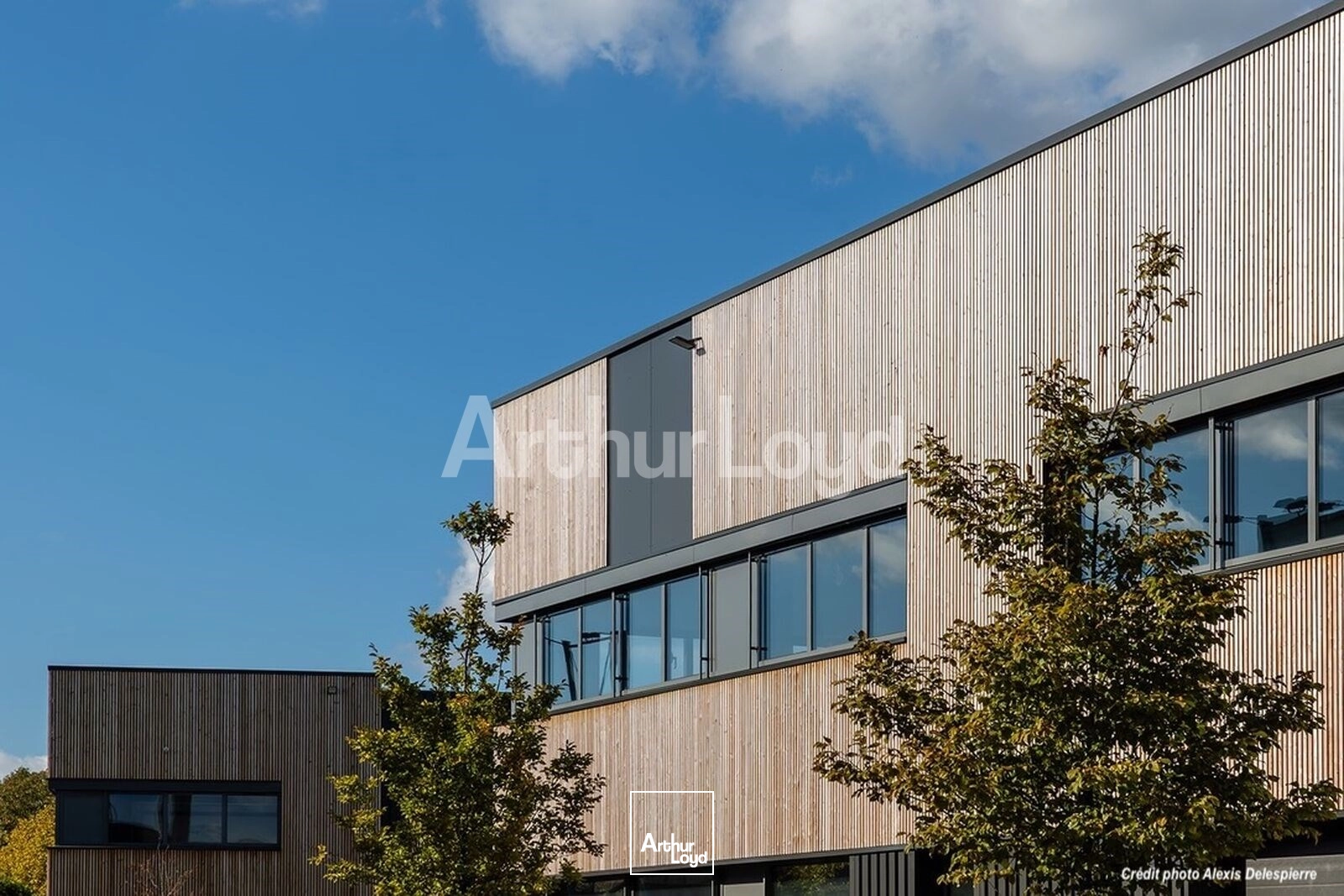 Locaux d'activité & Entrepôts - Location - LA CHAPELLE D'ARMENTIERES - 59930 - 648-1317 - 7723417